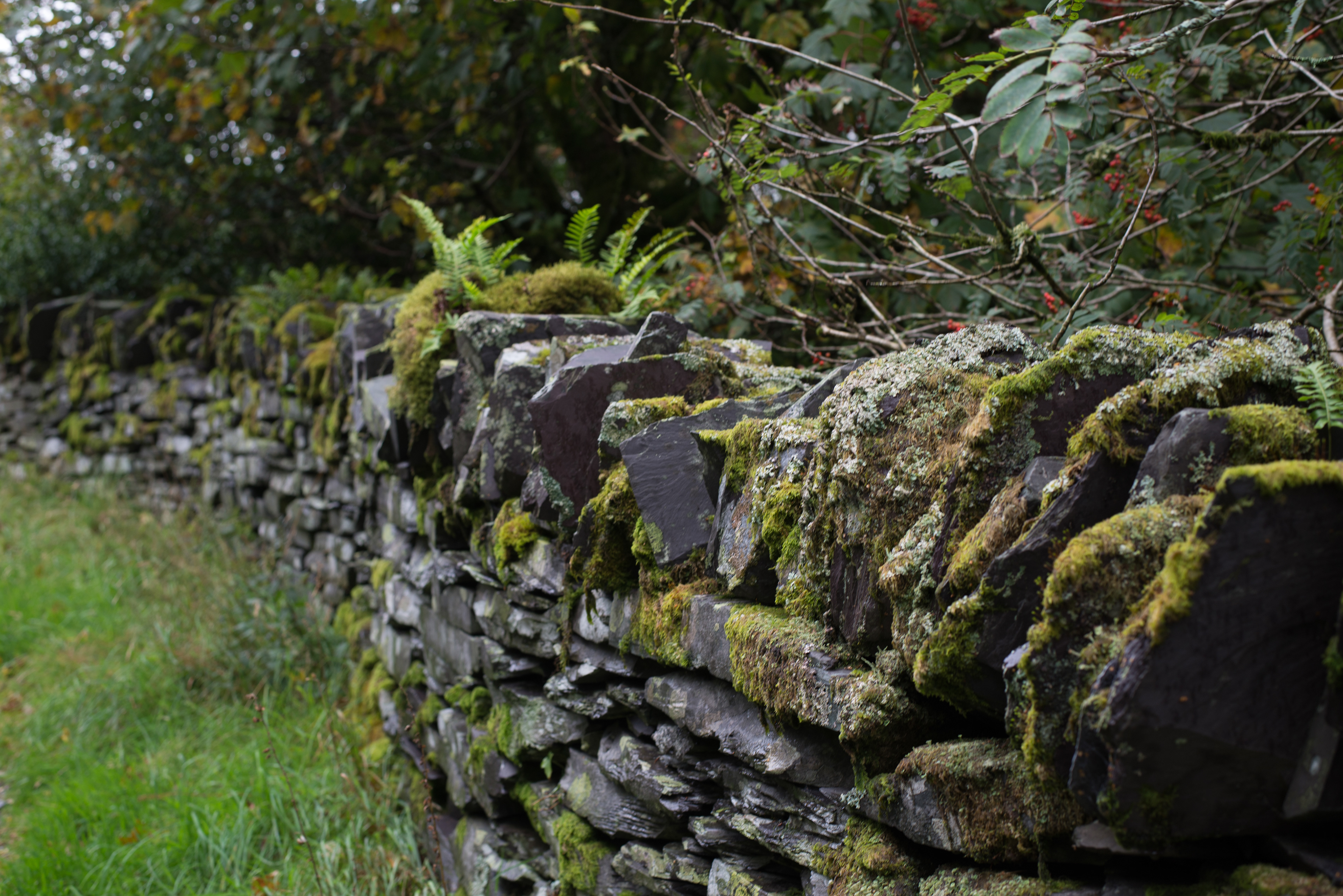 Old Slate Wall