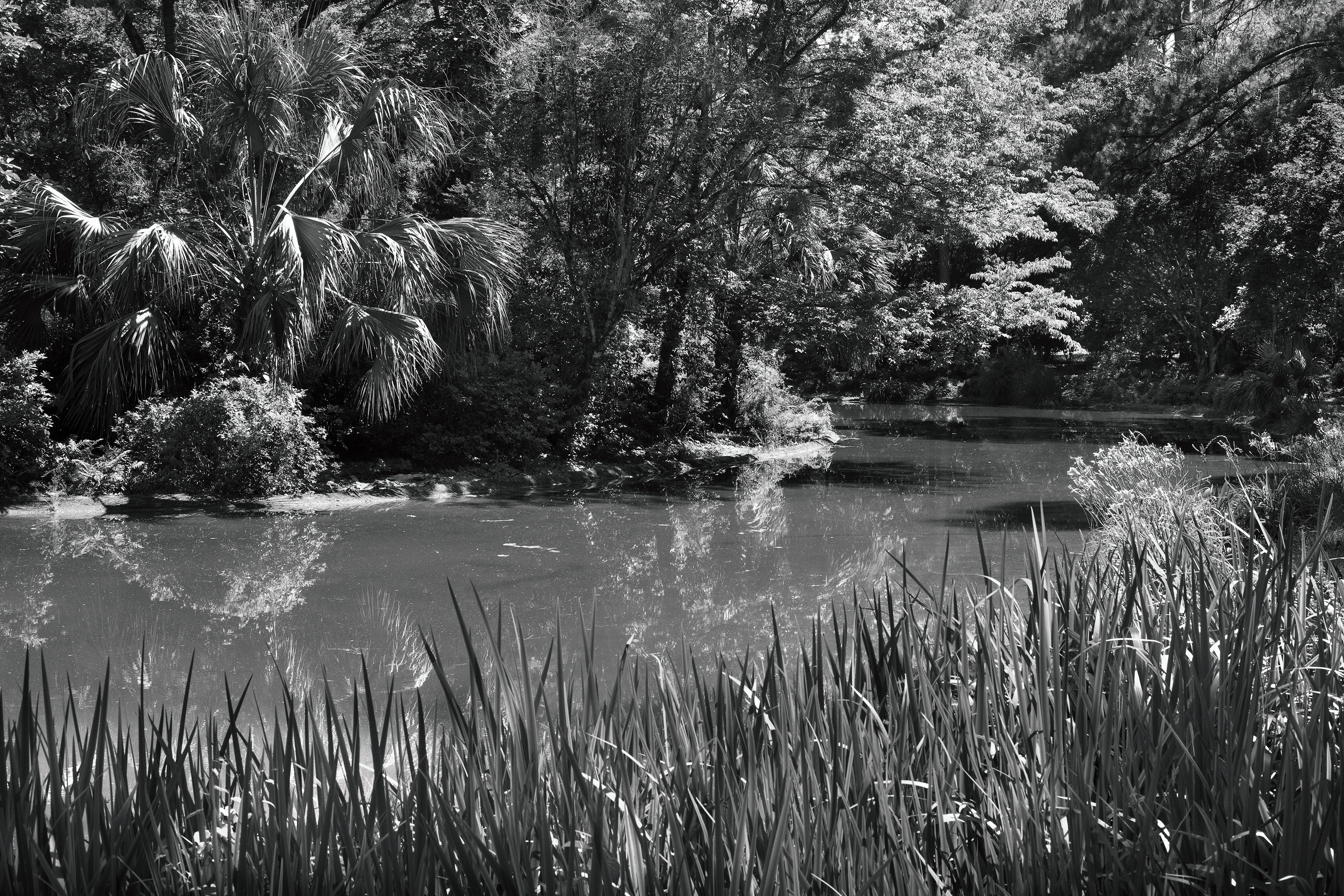 Wakulla Springs