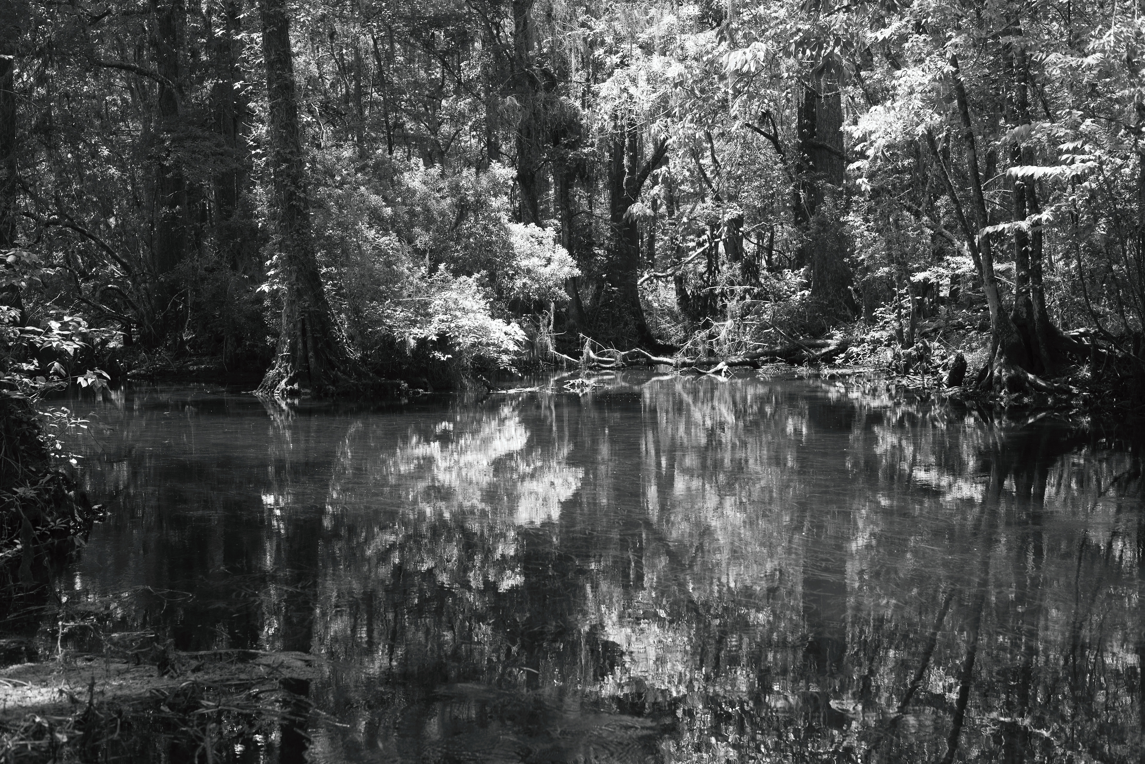 Wakulla Springs