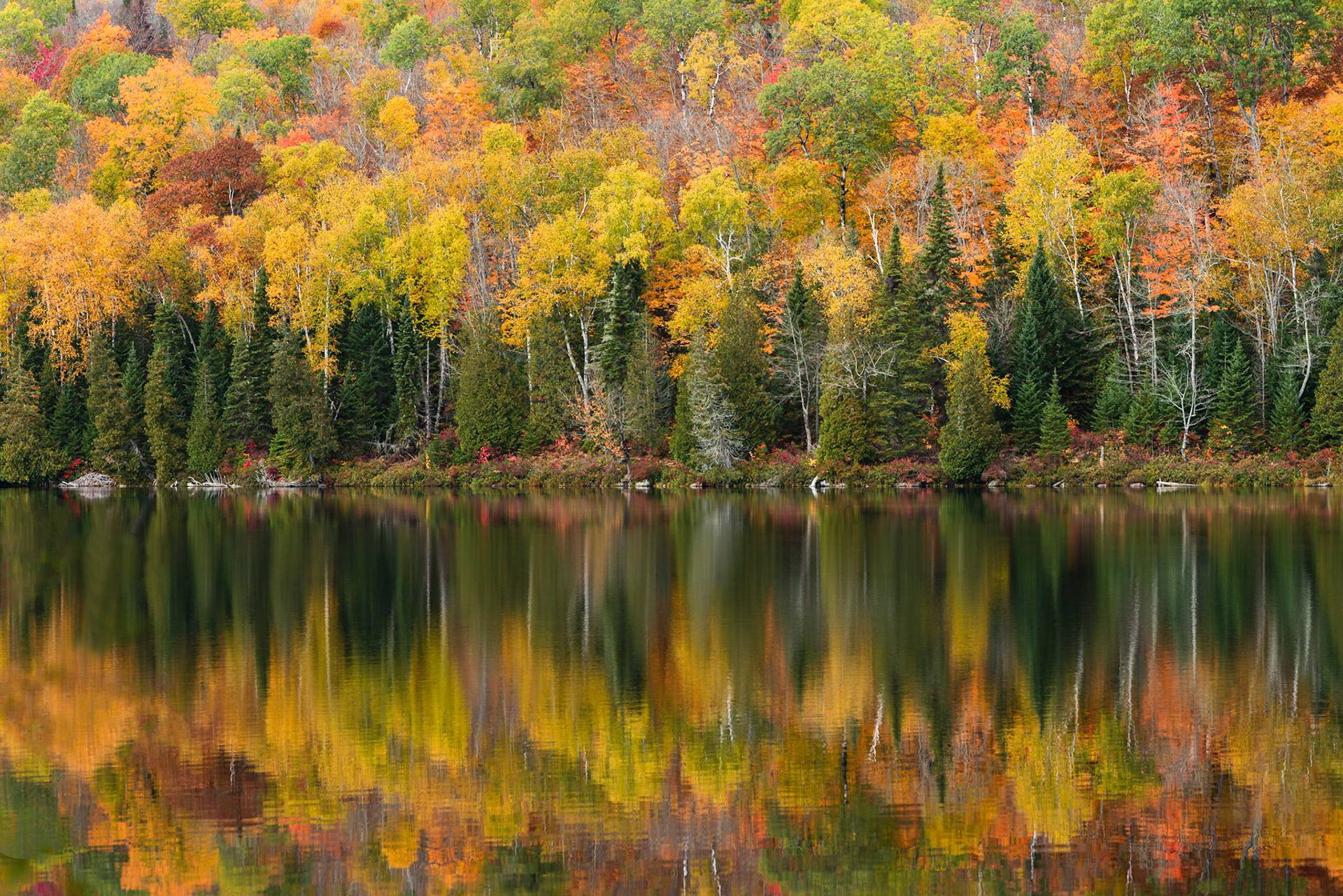 A1094 - Autumn Equilibrium, Lac Bouchard, Parc national de la Mauricie, Québec, Canada, 2020