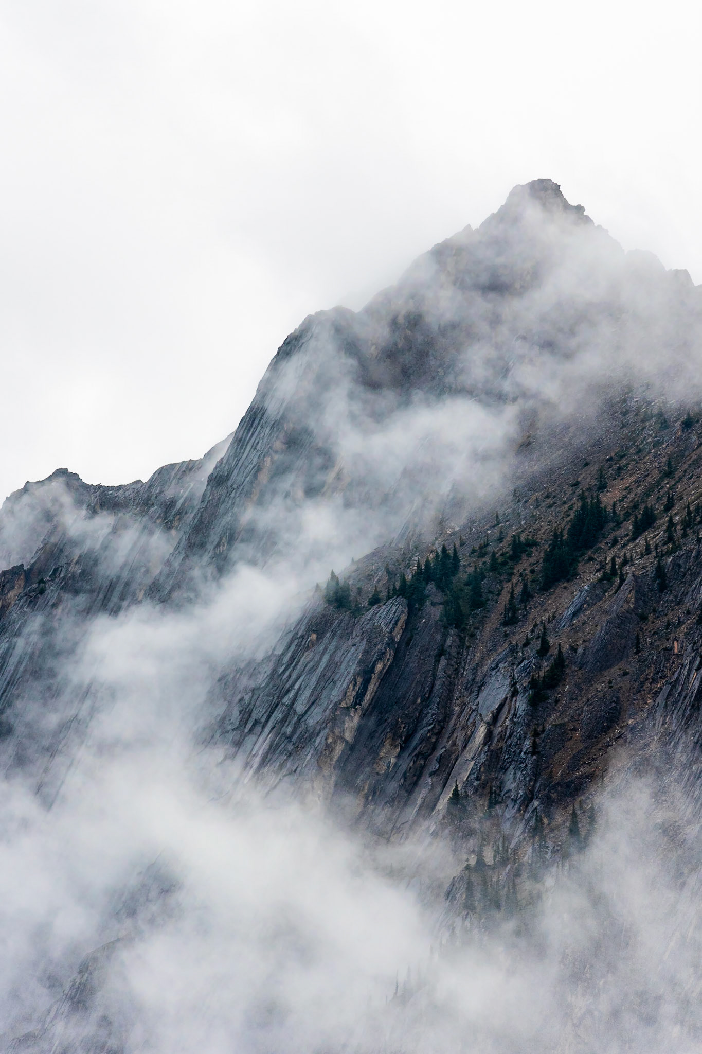 A1044 - Misty Moutains, Jasper, Alberta, Canada, 2019