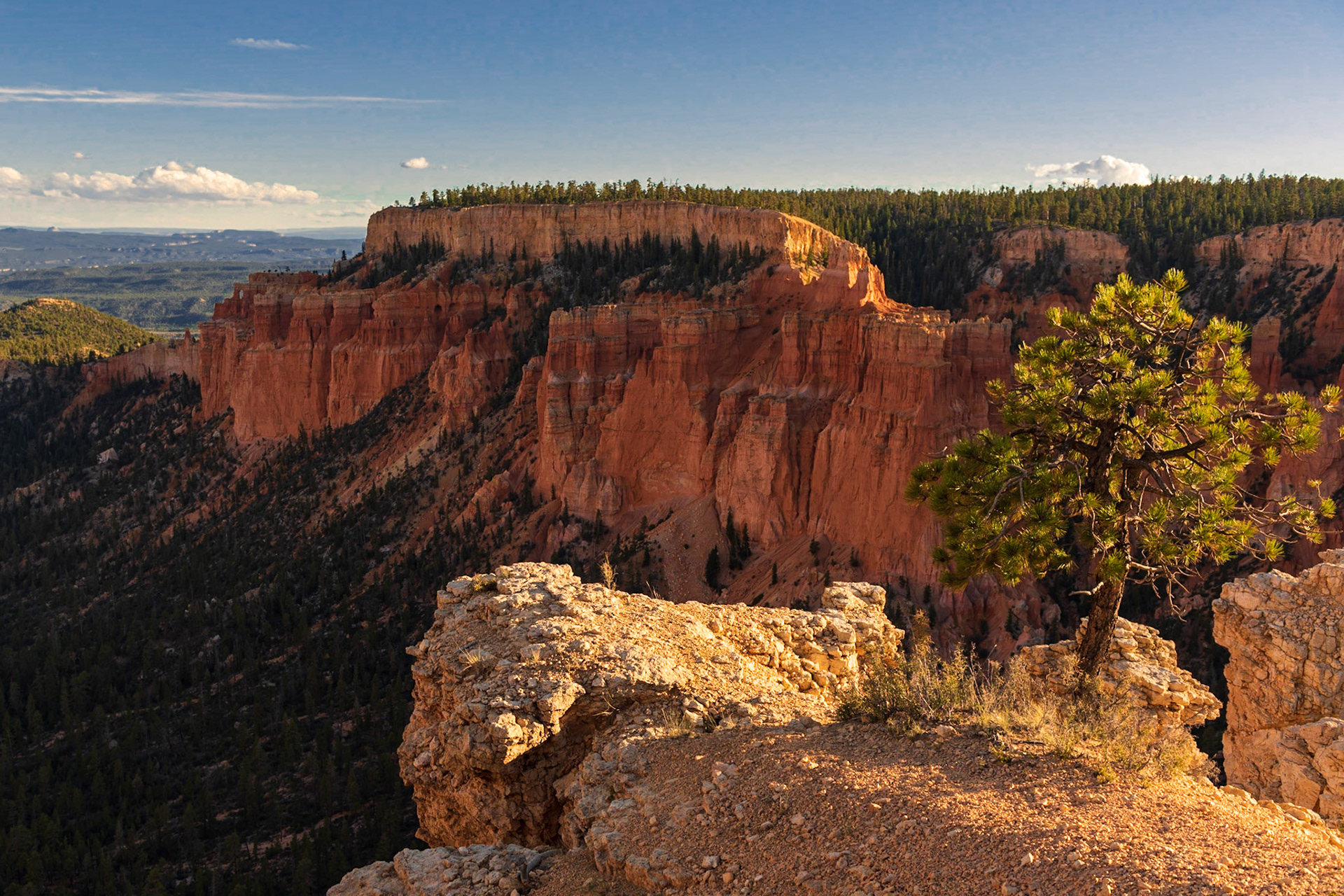 A1112 - Douce lumière, Yovimpa Point, Bryce Canyon, Utah, USA, 2022