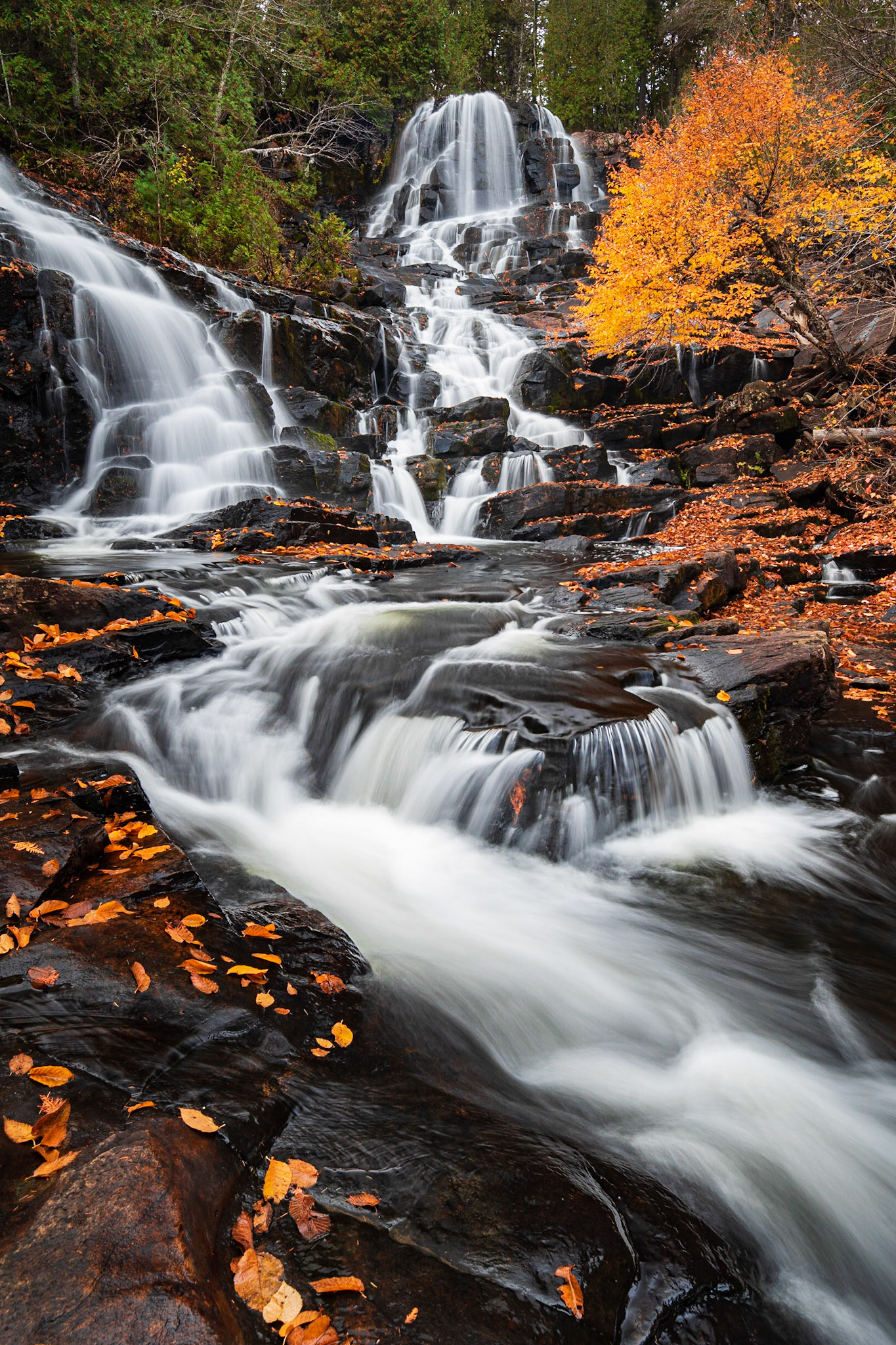 A1110 - Éden #2, Parc national de la Mauricie, Québec, Canada, 2020