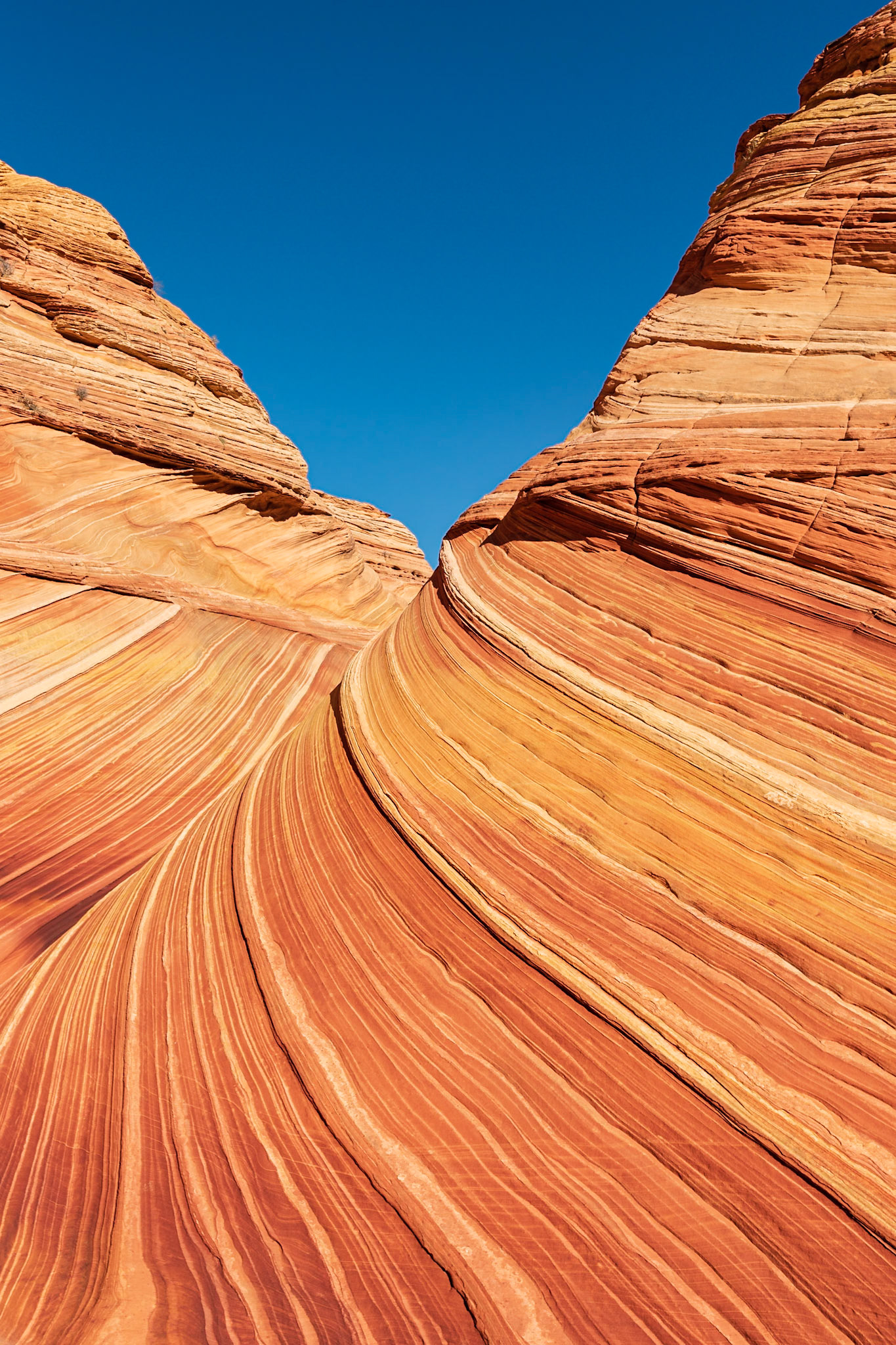 A1125-Candyland, The Wave, Coyote Buttes North, Vermillion Cliffs National Monument, Utah, USA, 2022