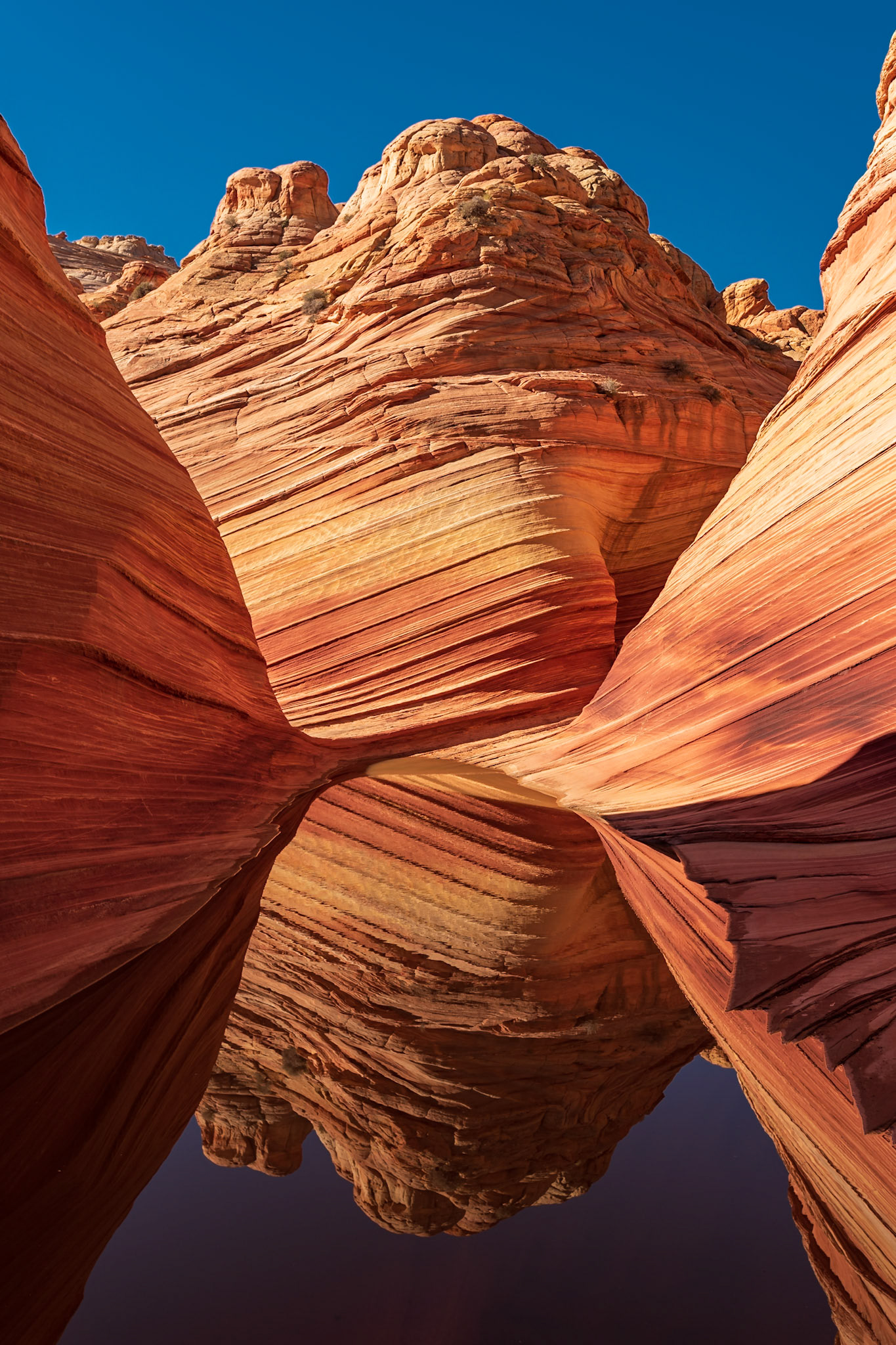 A1126-L'envers du décor, The Wave, Coyote Buttes North, Vermillion Cliffs National Monument, Utah, USA, 2022