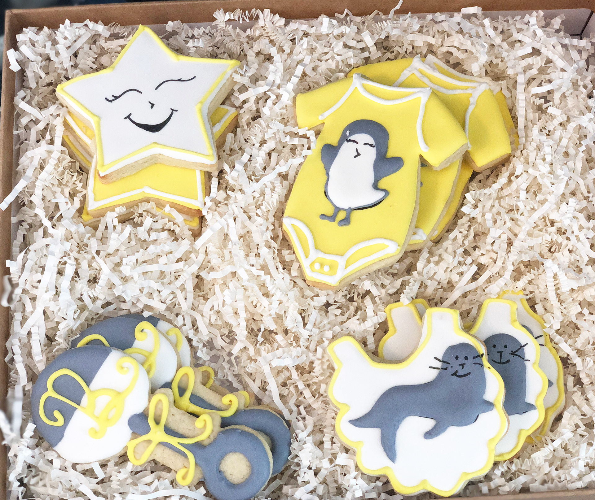 Baby Shower Gift Cookies