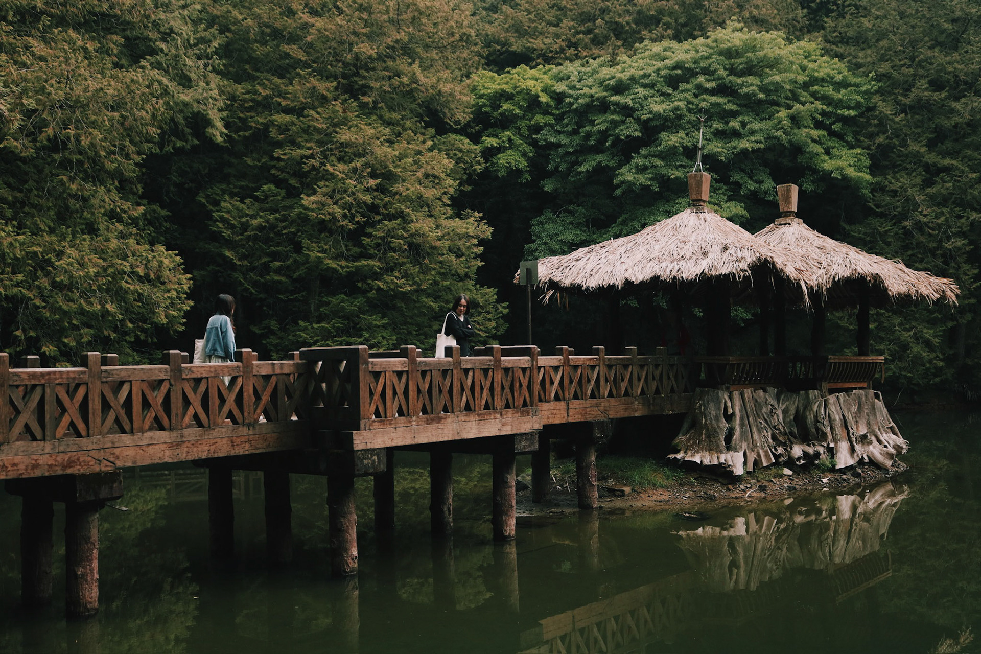 Processed with VSCO with c6 preset
