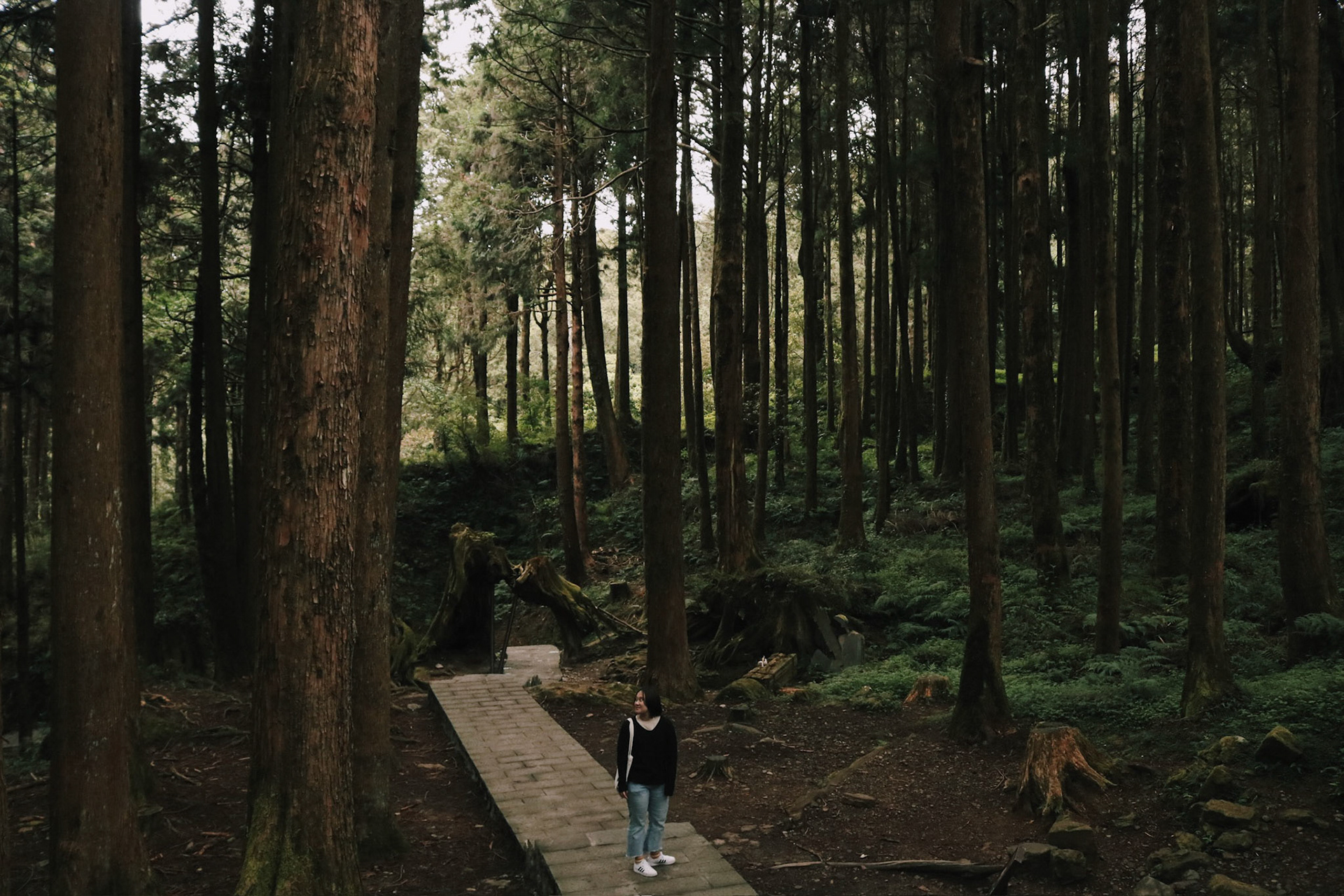 Processed with VSCO with c6 preset
