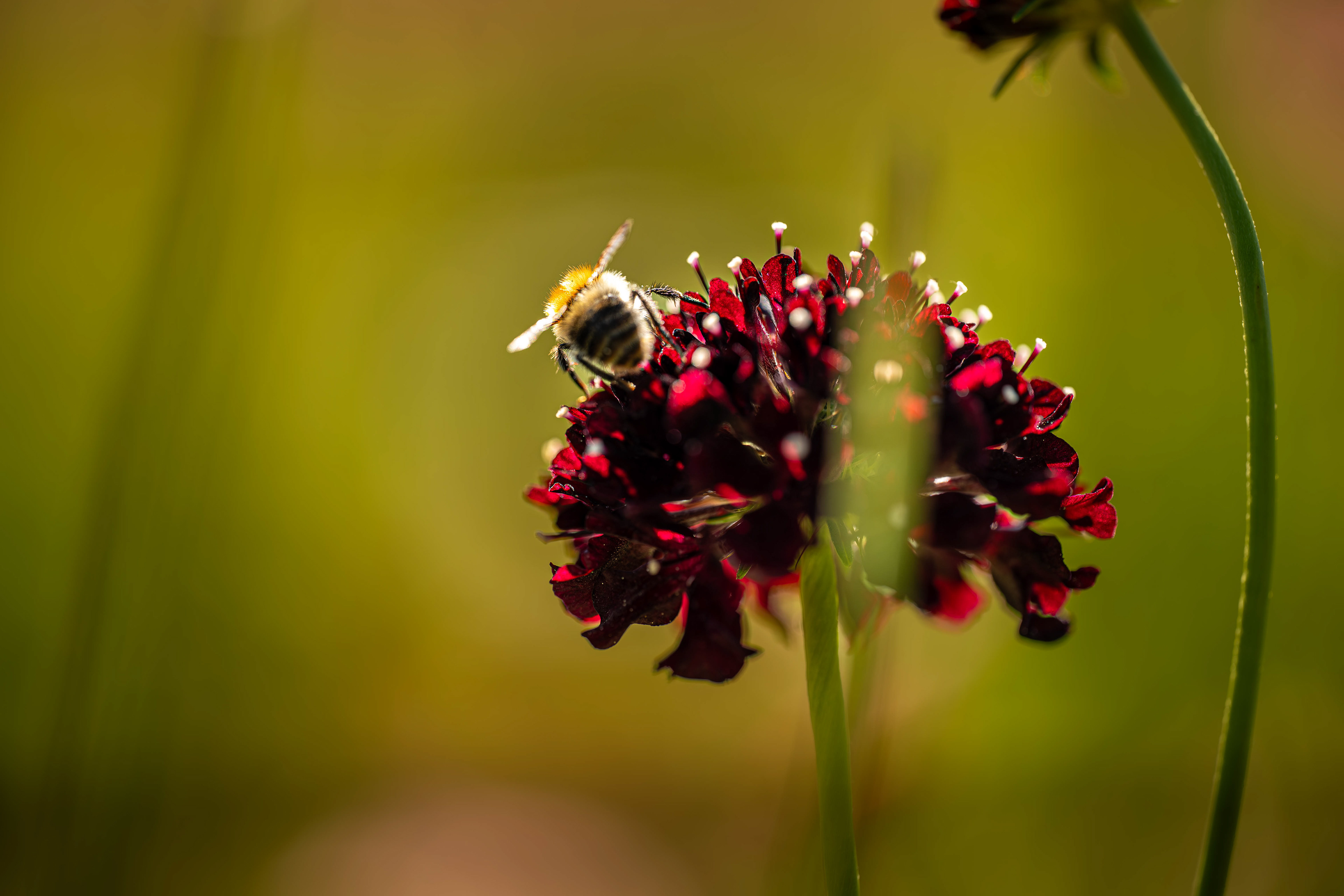 (c) Crédits Ju Walspeck | instant(s) 