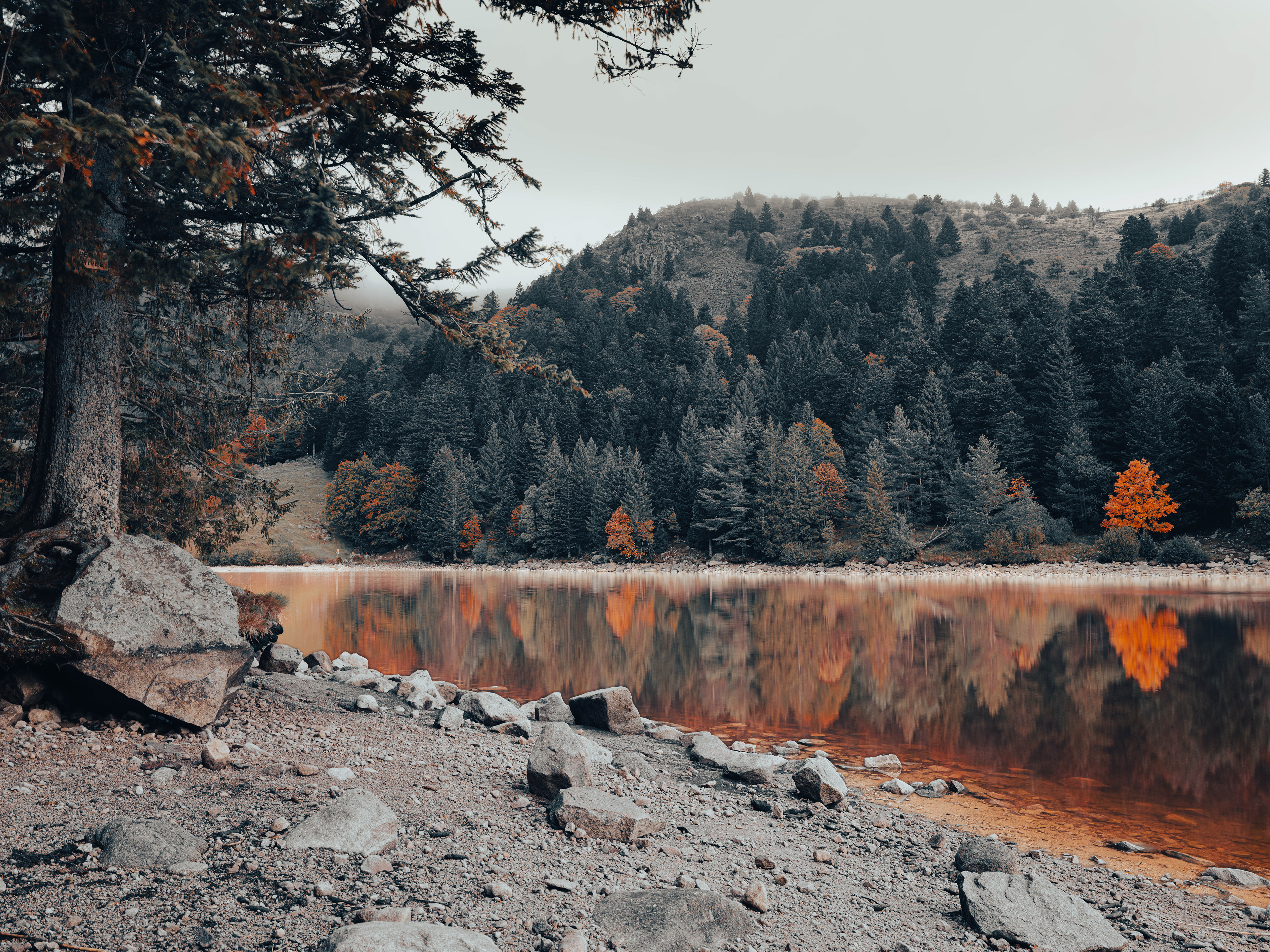 (c) Crédits Ju Walspeck | instant(s) 