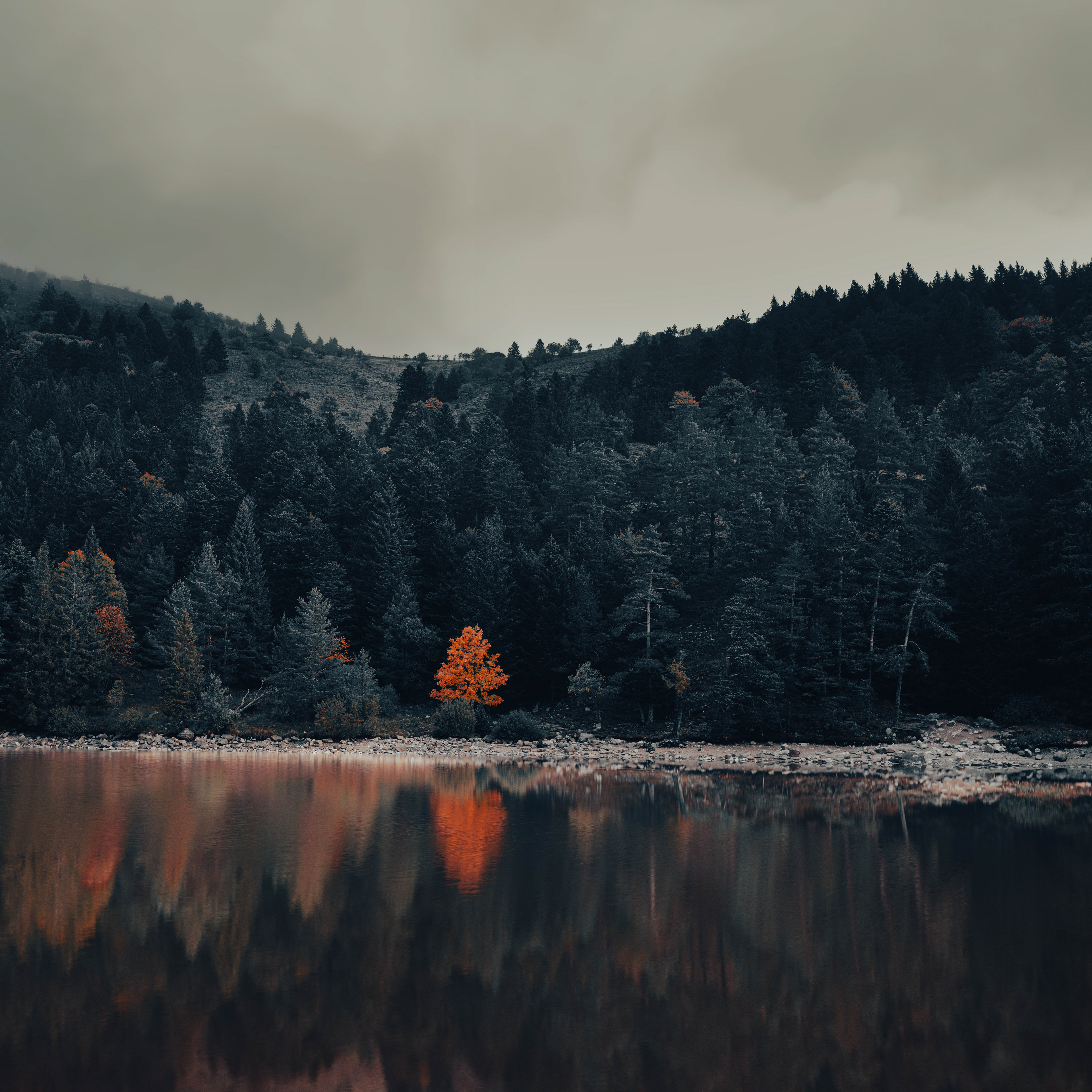 (c) Crédits Ju Walspeck | instant(s) 