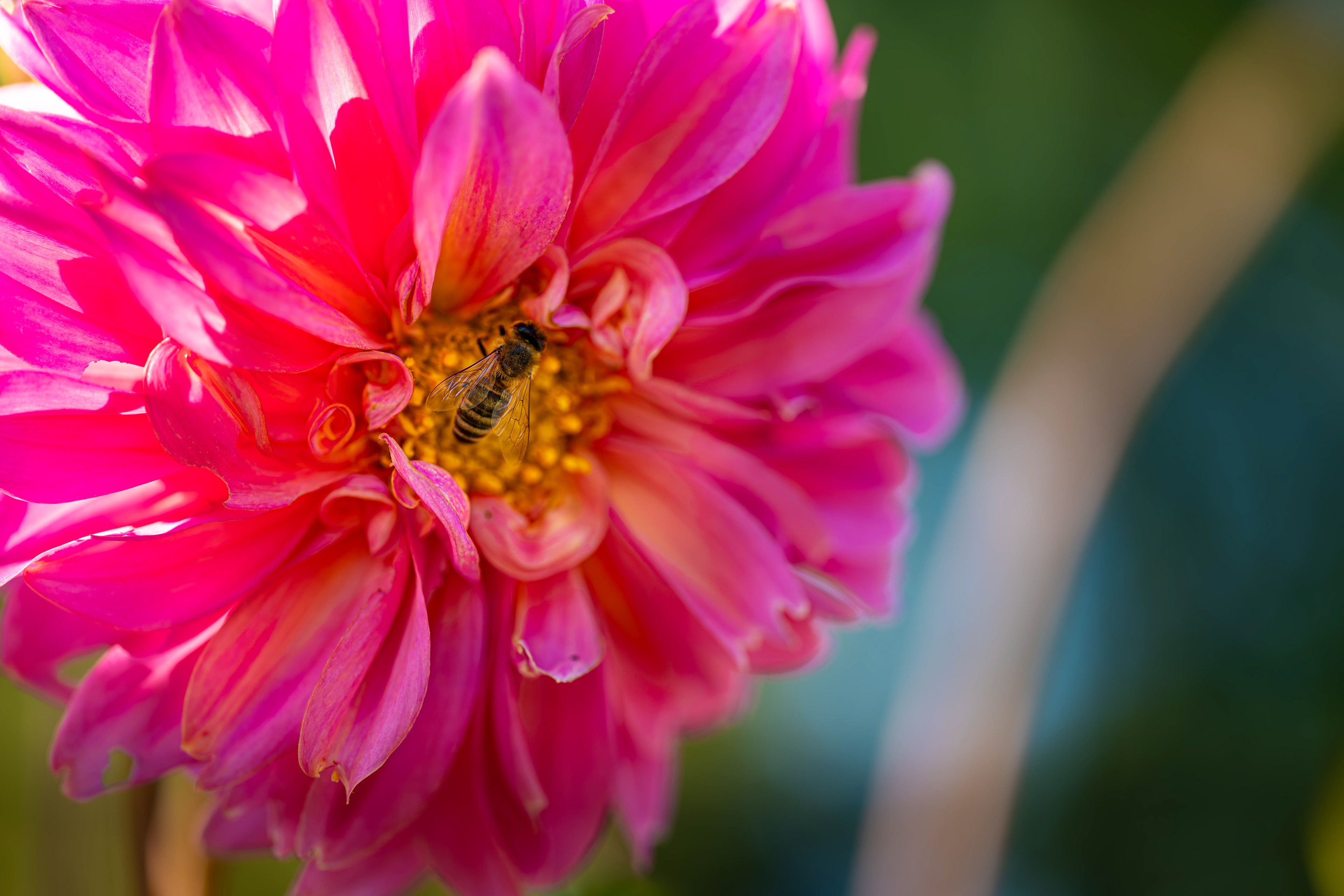 (c) Crédits Ju Walspeck | instant(s) 