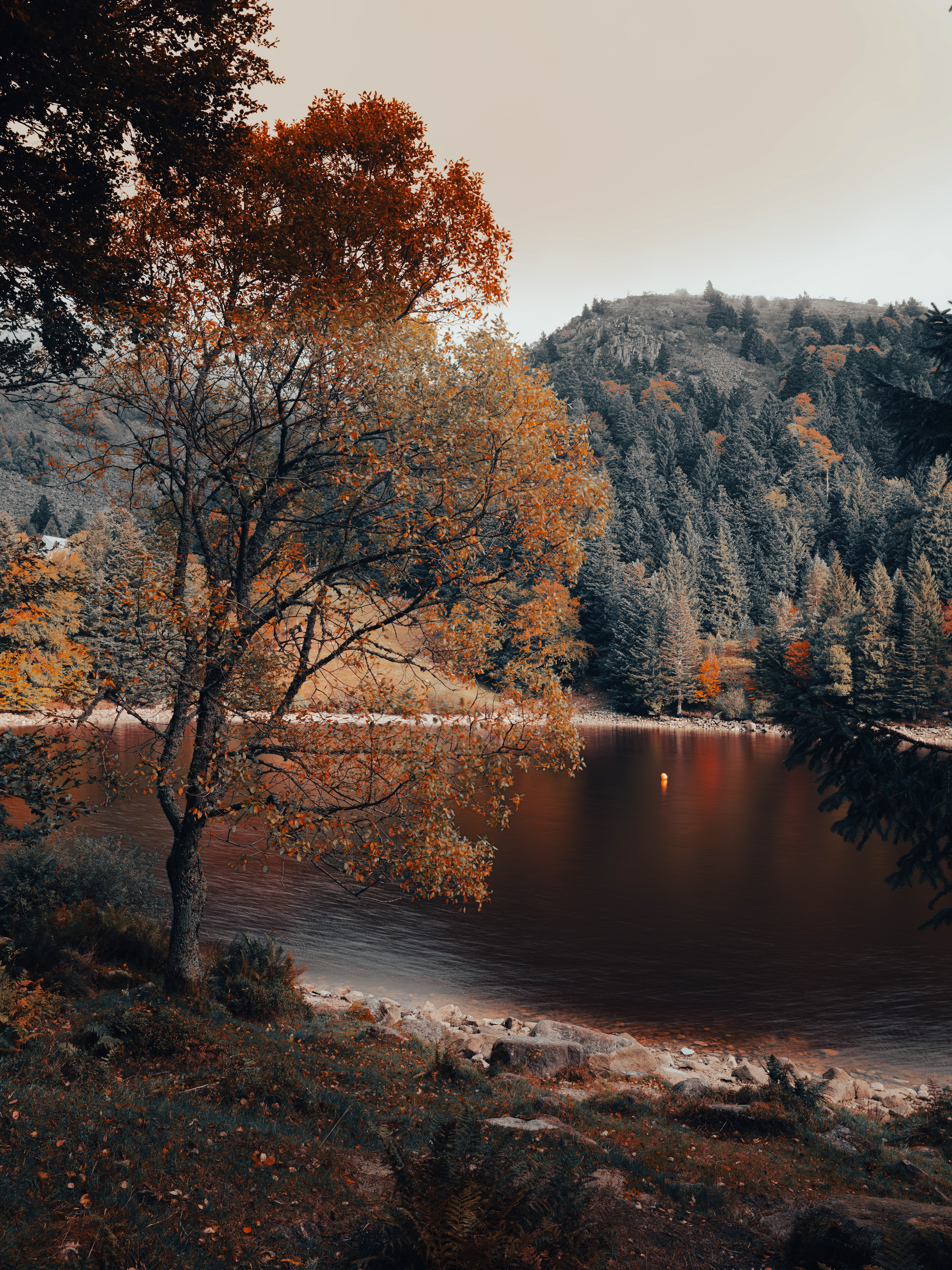 (c) Crédits Ju Walspeck | instant(s) 