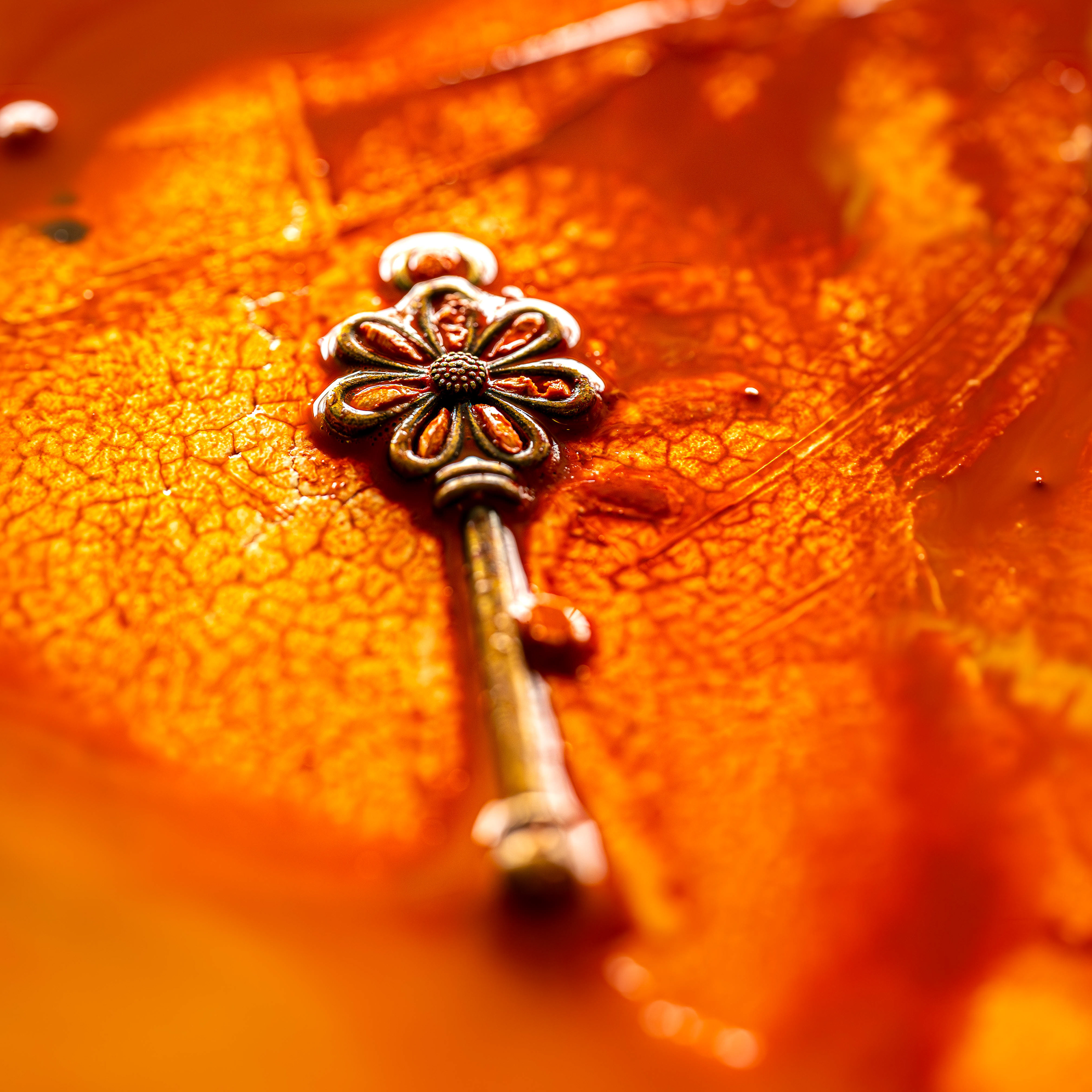 (c) Crédits Ju Walspeck | instant(s)