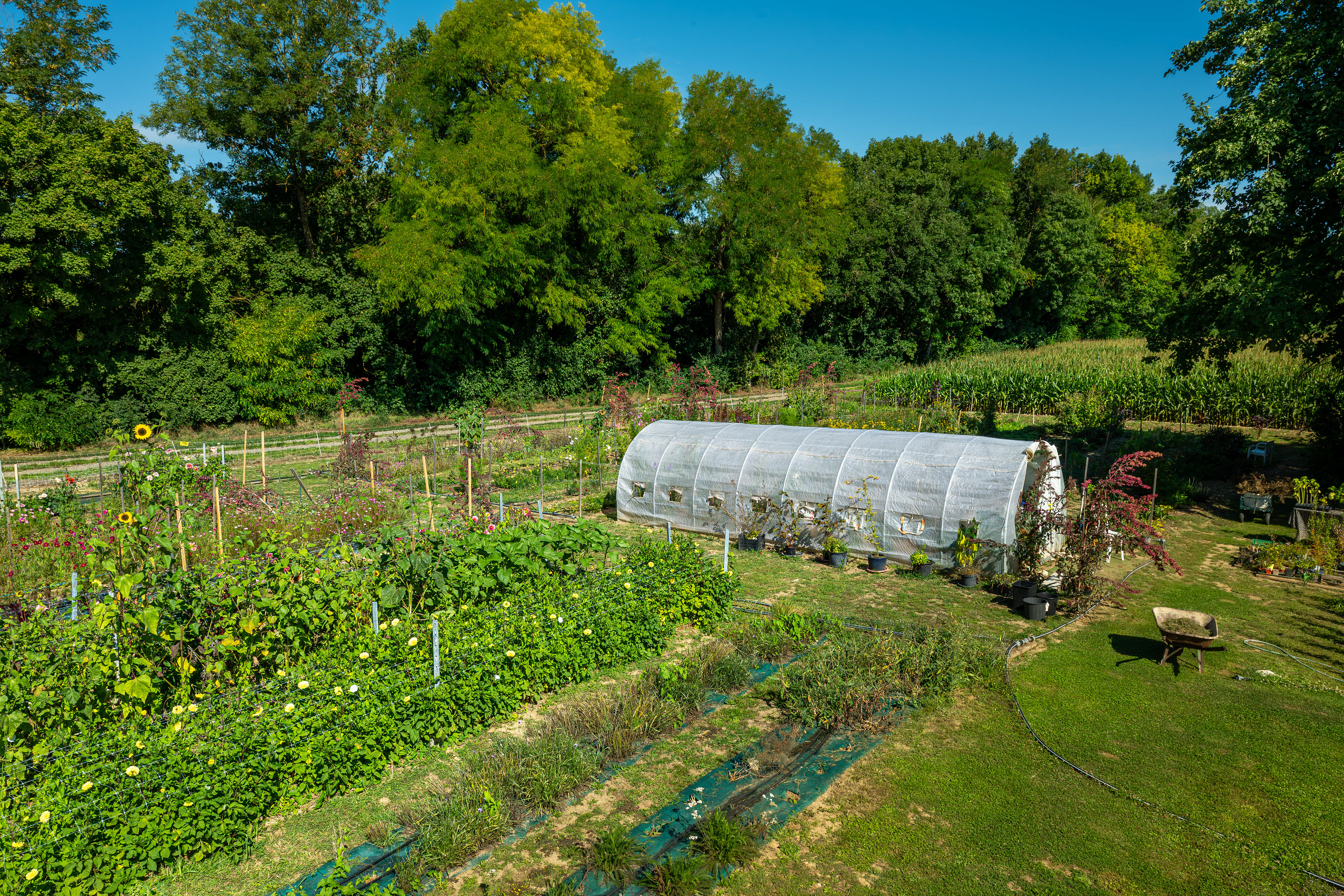 (c) Crédits Ju Walspeck | instant(s) 