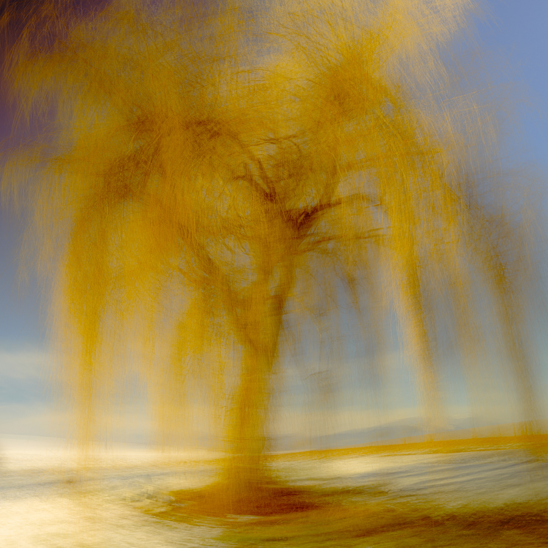 (c) Crédits Ju Walspeck | instant(s)