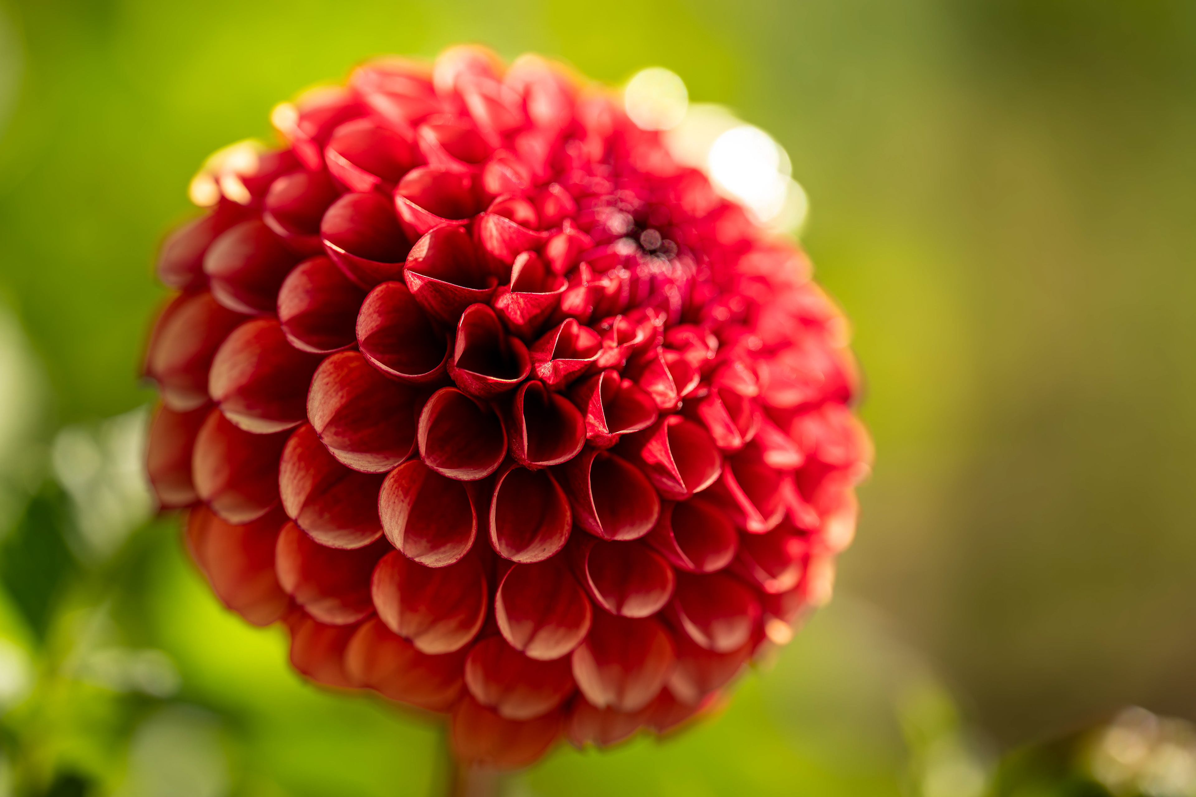 (c) Crédits Ju Walspeck | instant(s) 