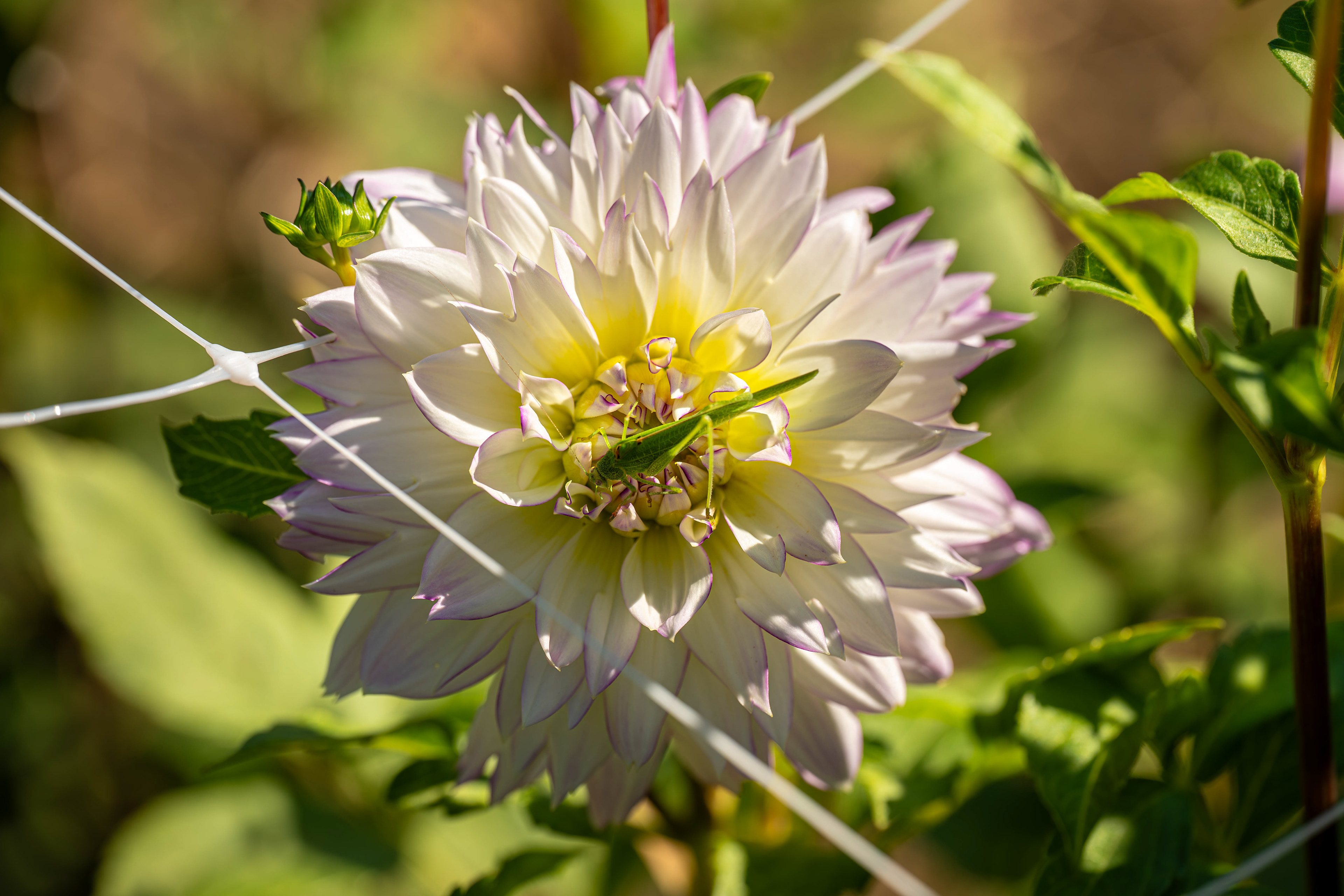 (c) Crédits Ju Walspeck | instant(s) 