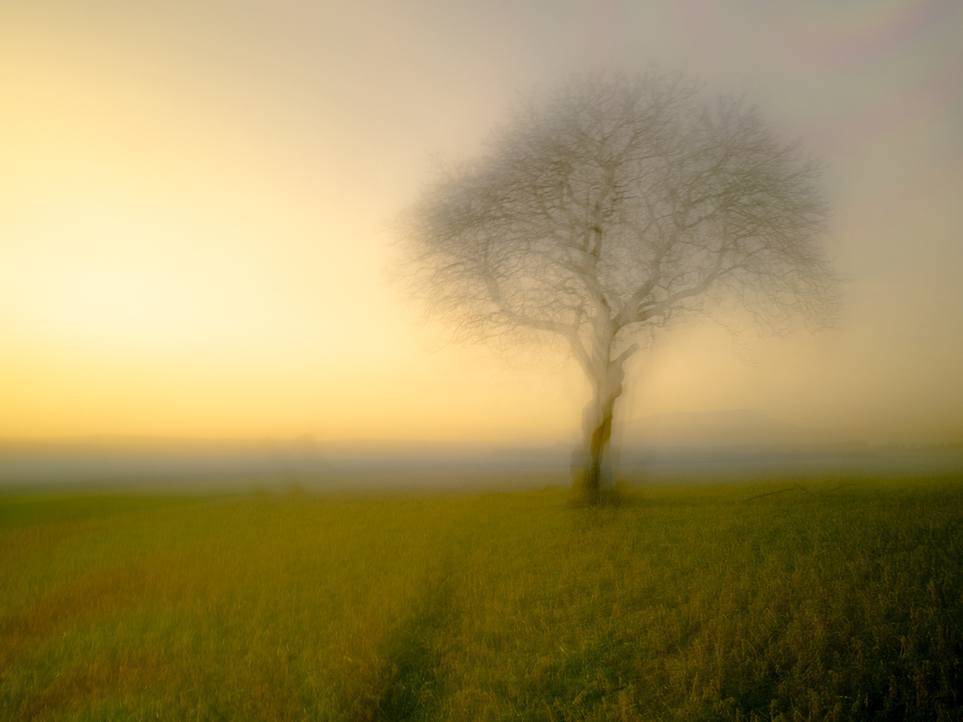 (c) Crédits Ju Walspeck | instant(s)