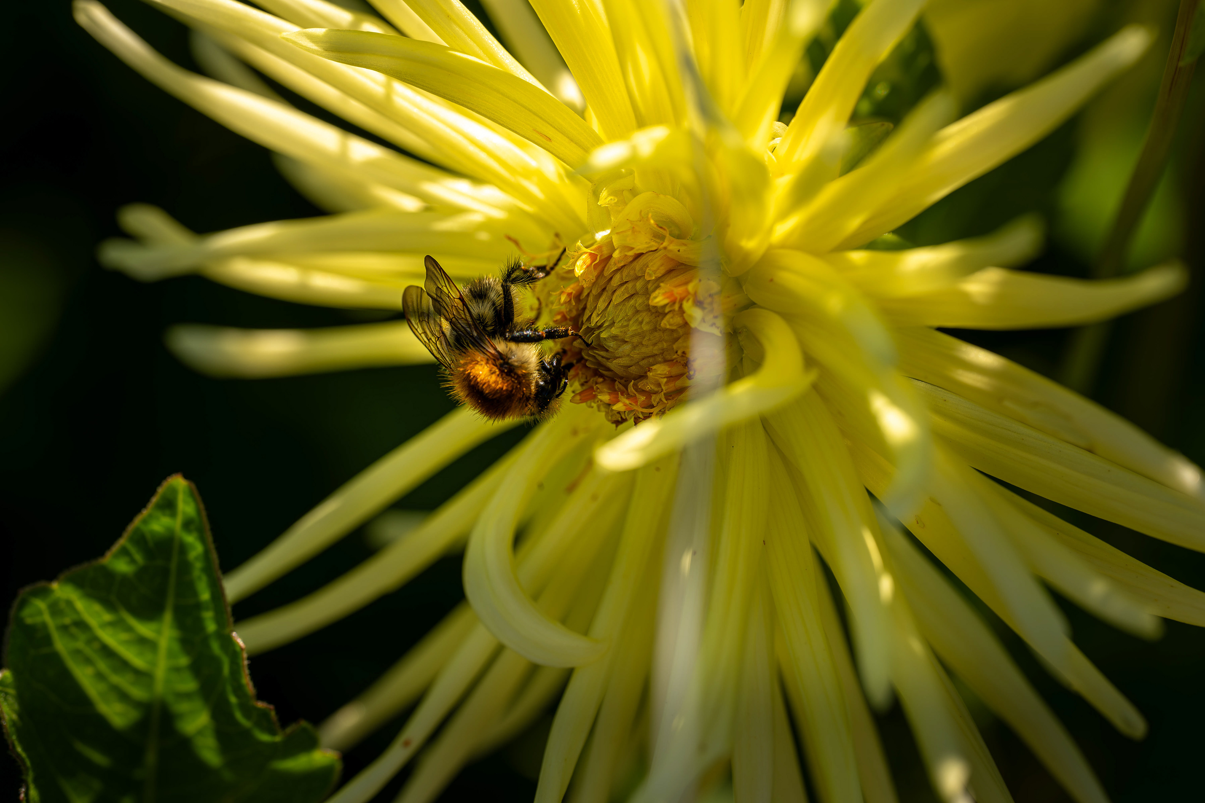 (c) Crédits Ju Walspeck | instant(s) 