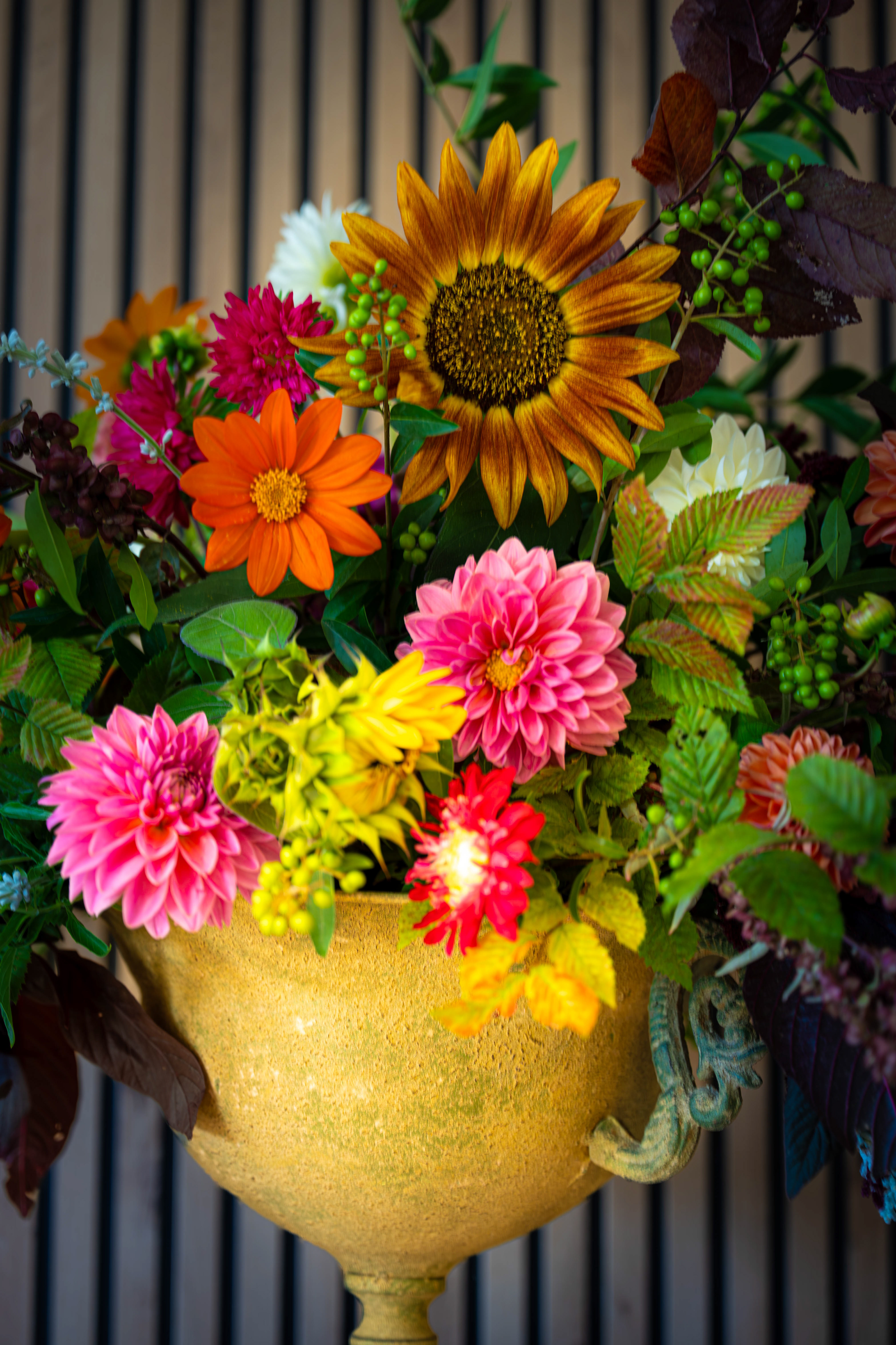 (c) Crédits Ju Walspeck | instant(s) 