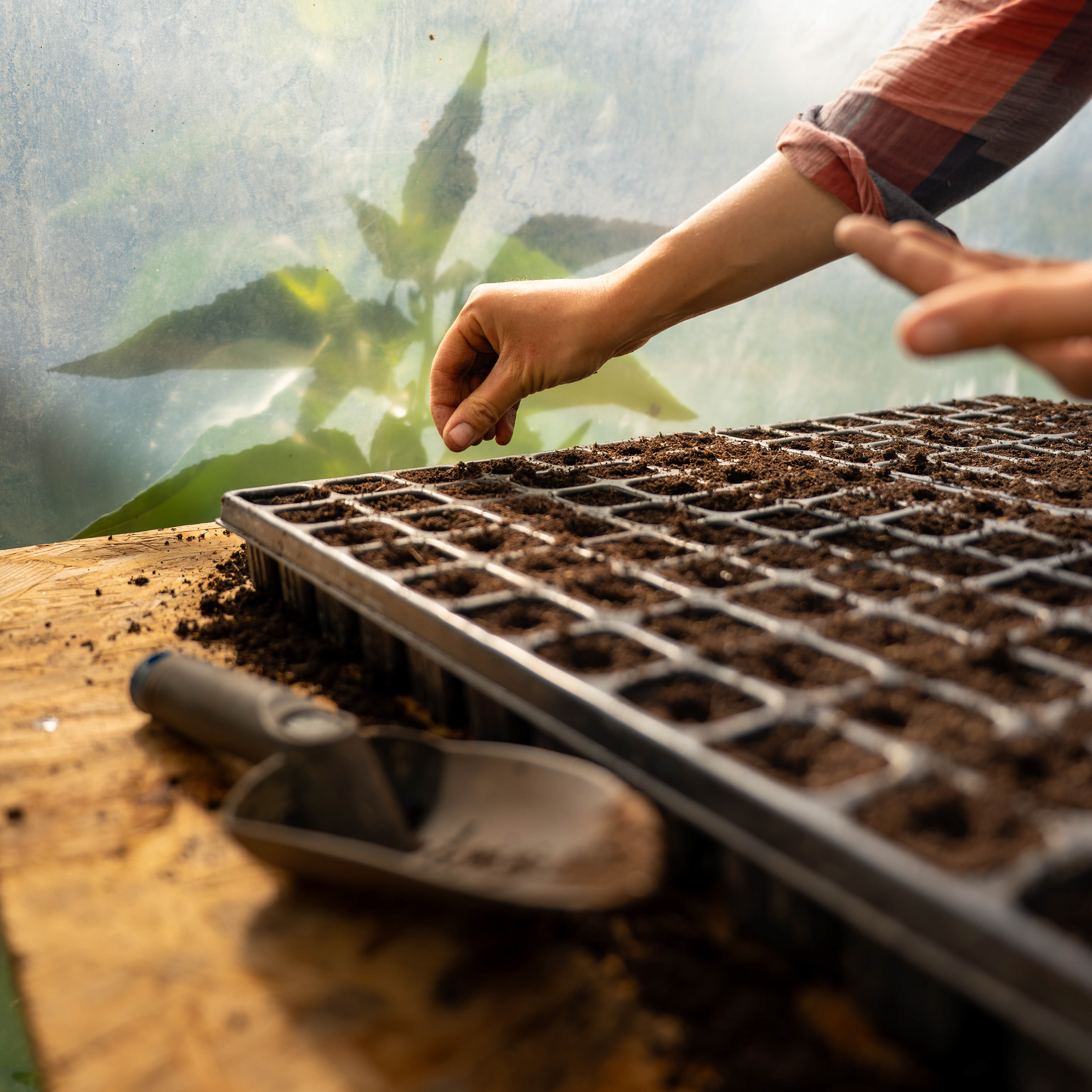 (c) Crédits Ju Walspeck | instant(s) 