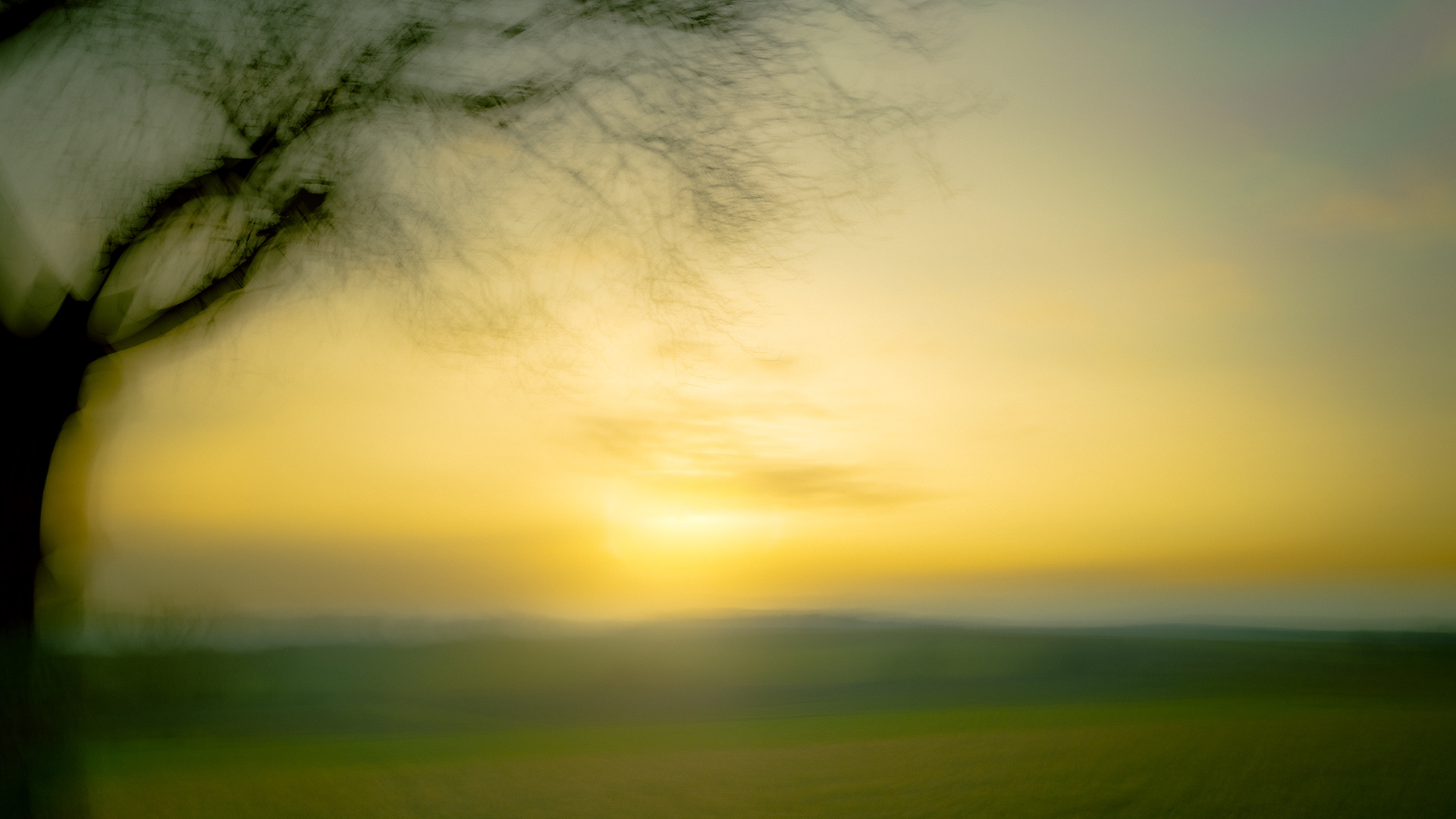 (c) Crédits Ju Walspeck | instant(s)