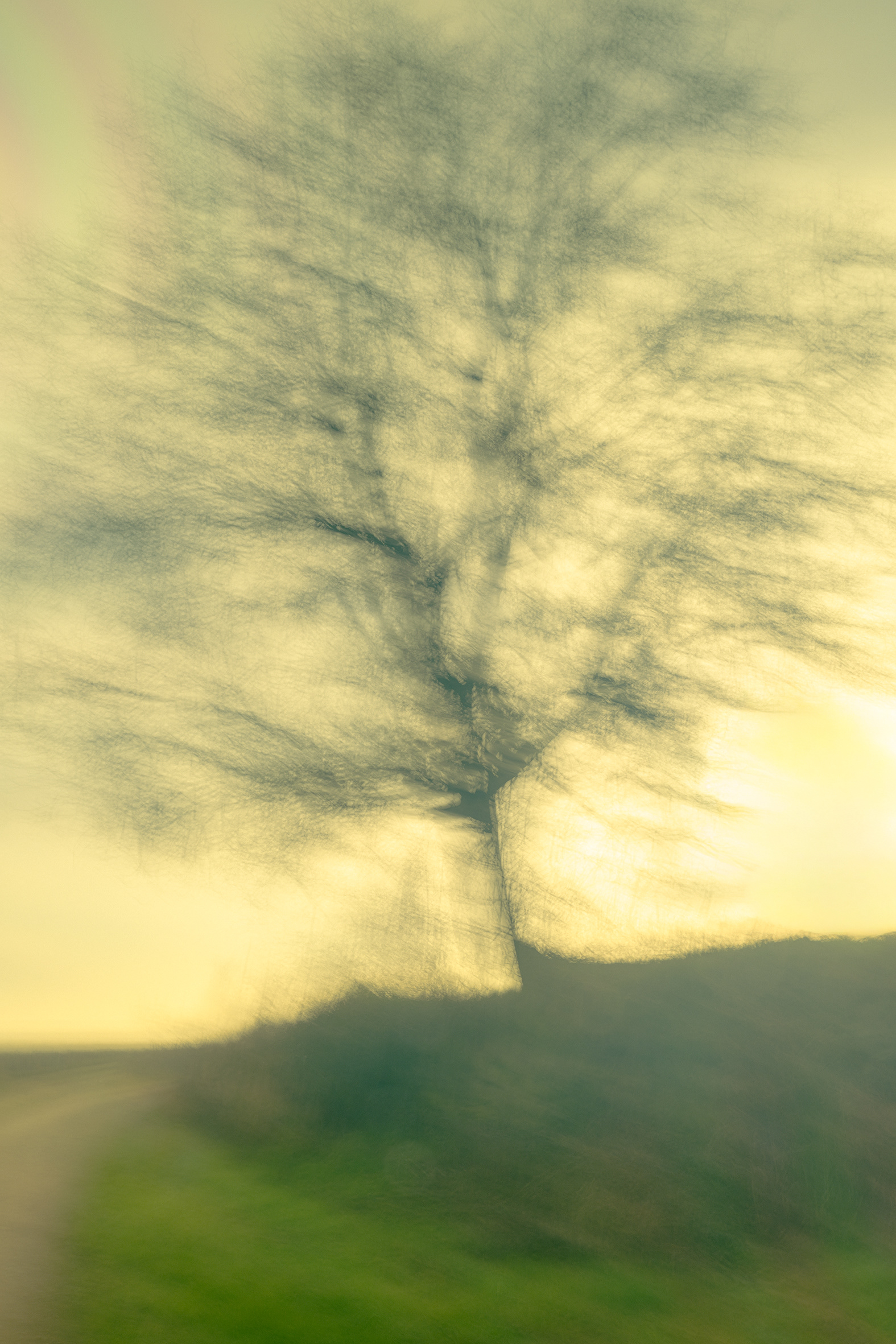 (c) Crédits Ju Walspeck | instant(s)