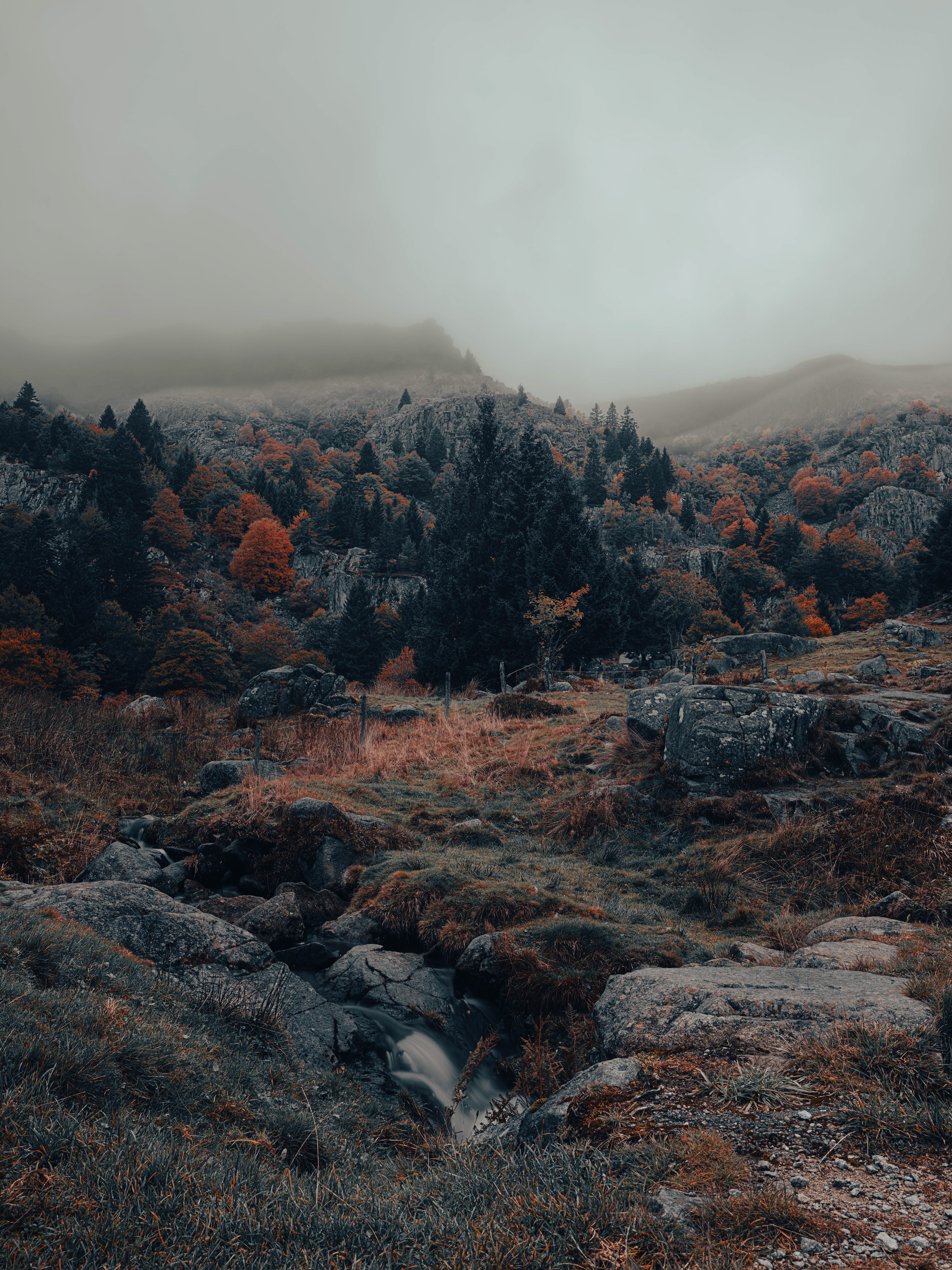 (c) Crédits Ju Walspeck | instant(s) 