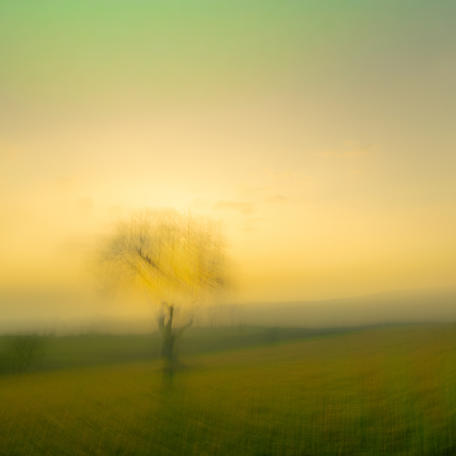 (c) Crédits Ju Walspeck | instant(s)