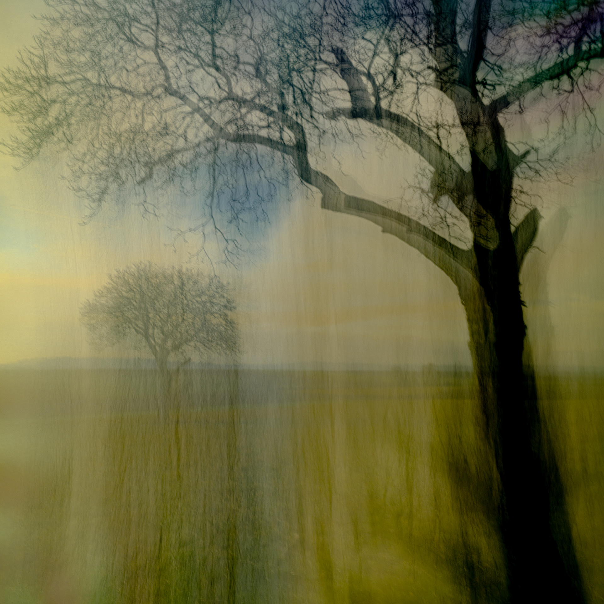 (c) Crédits Ju Walspeck | instant(s)