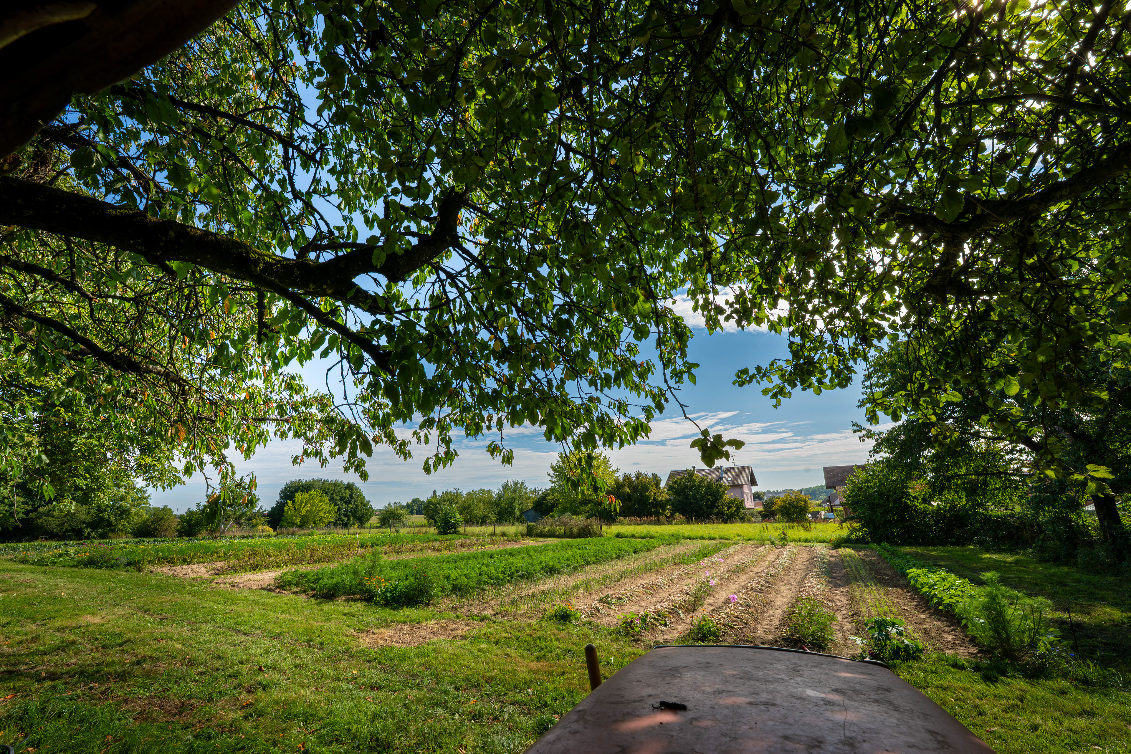 (c) Crédits Ju Walspeck | instant(s) 