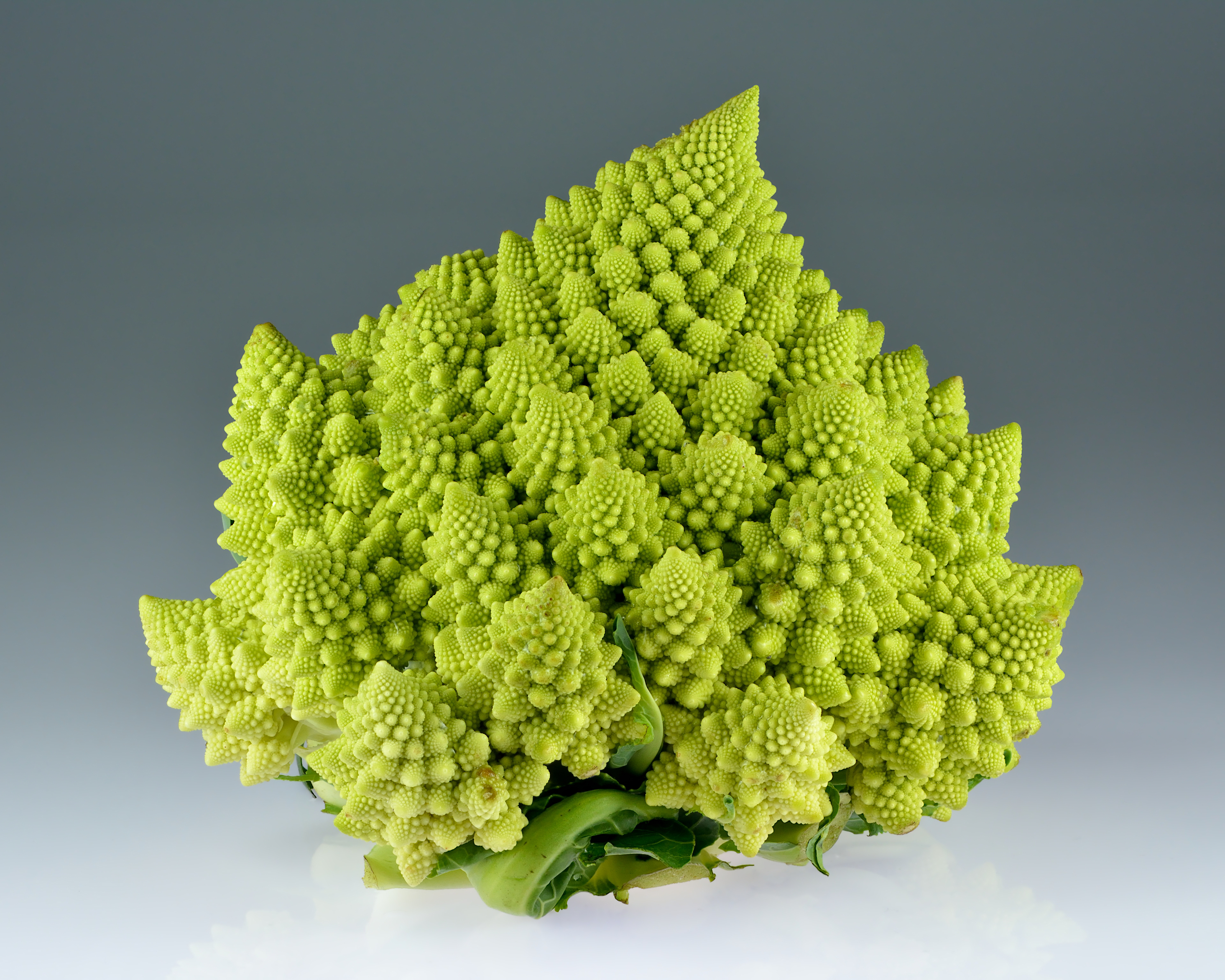 https://en.wikipedia.org/wiki/Romanesco_broccoli