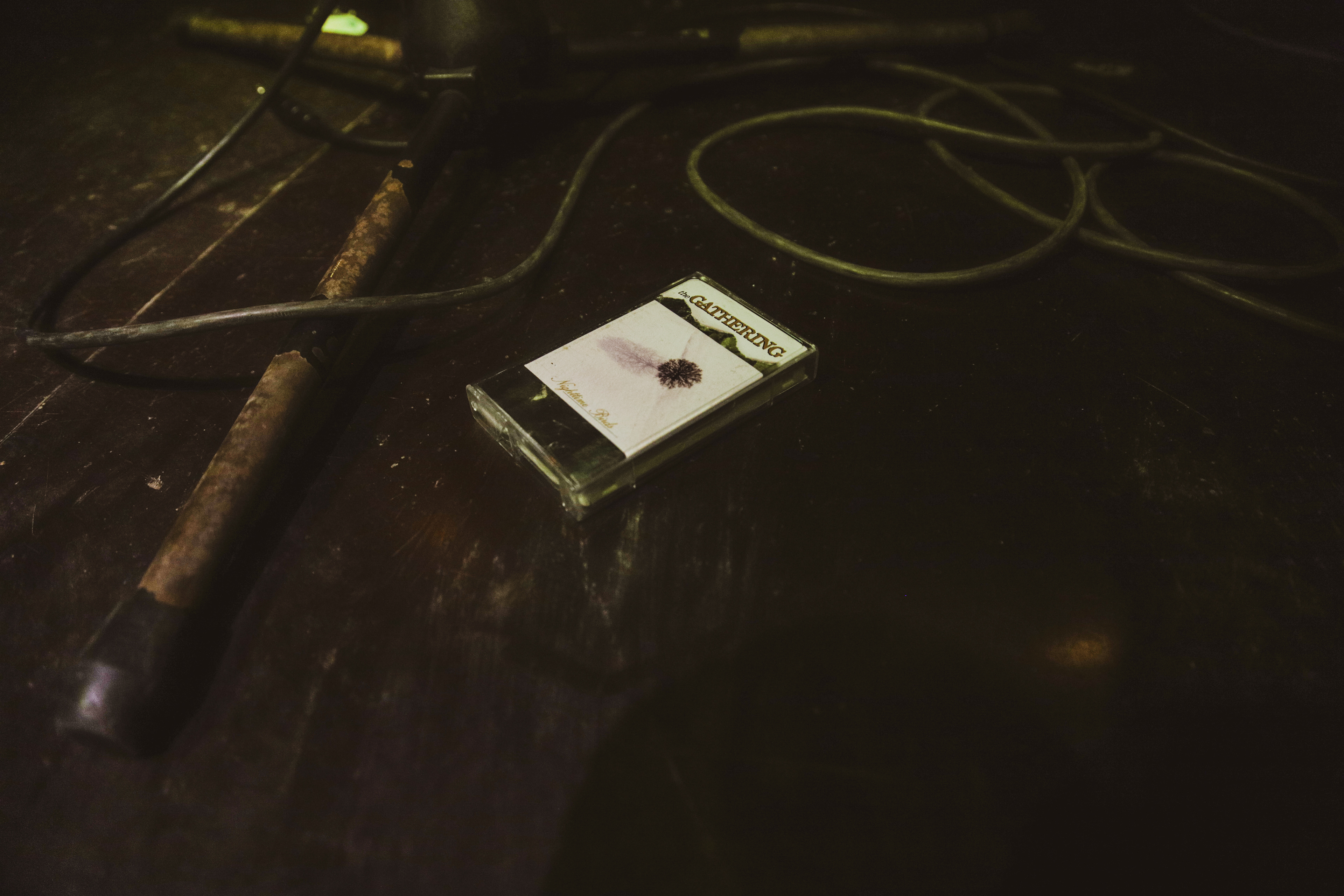 Anneke van Giersbergen