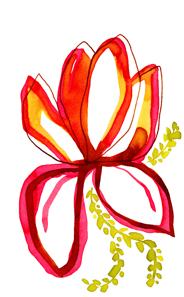 encre aquarelle Sophie Plouvier