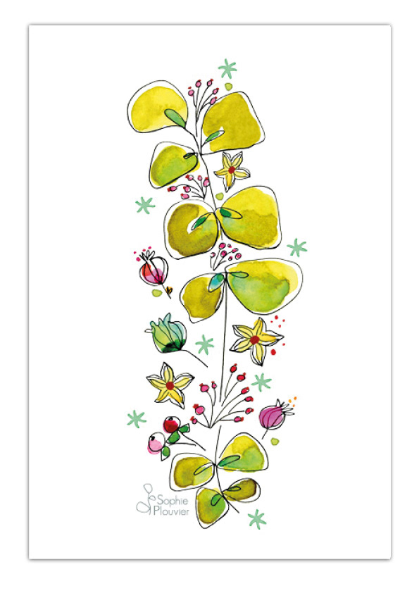 aquarelle Sophie Plouvier