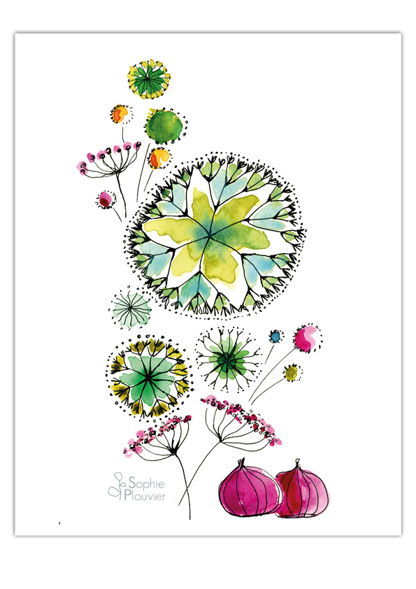 aquarelle Sophie Plouvier