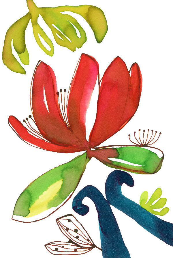 encre aquarelle Sophie Plouvier