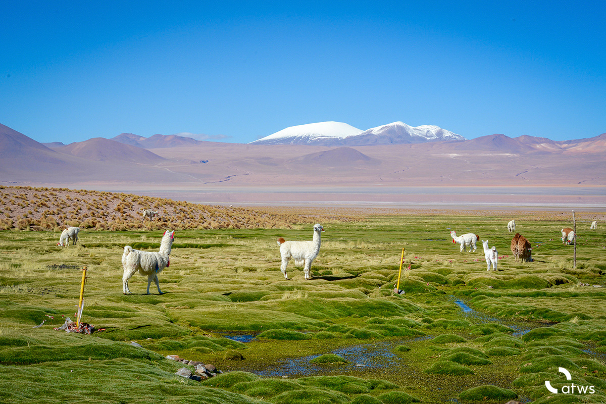 Valle de Llamas