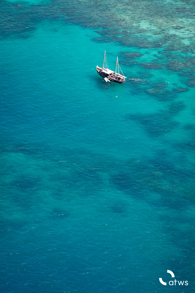 Tonos de Great Barrier Reef, Australia 7