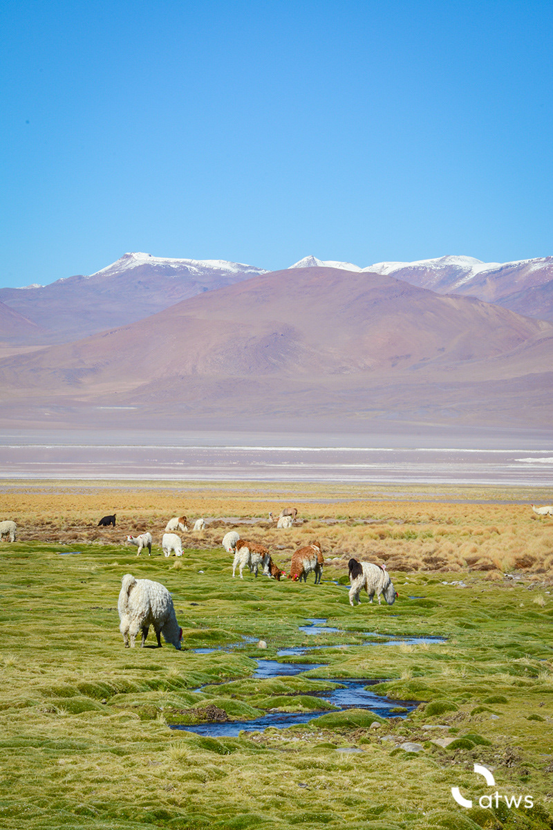 Valle de Llamas 2