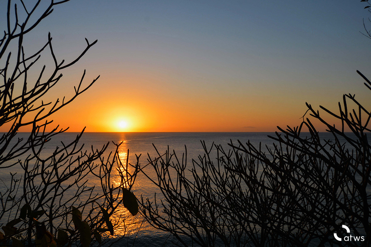Atardecer a través de los Flor Blanca