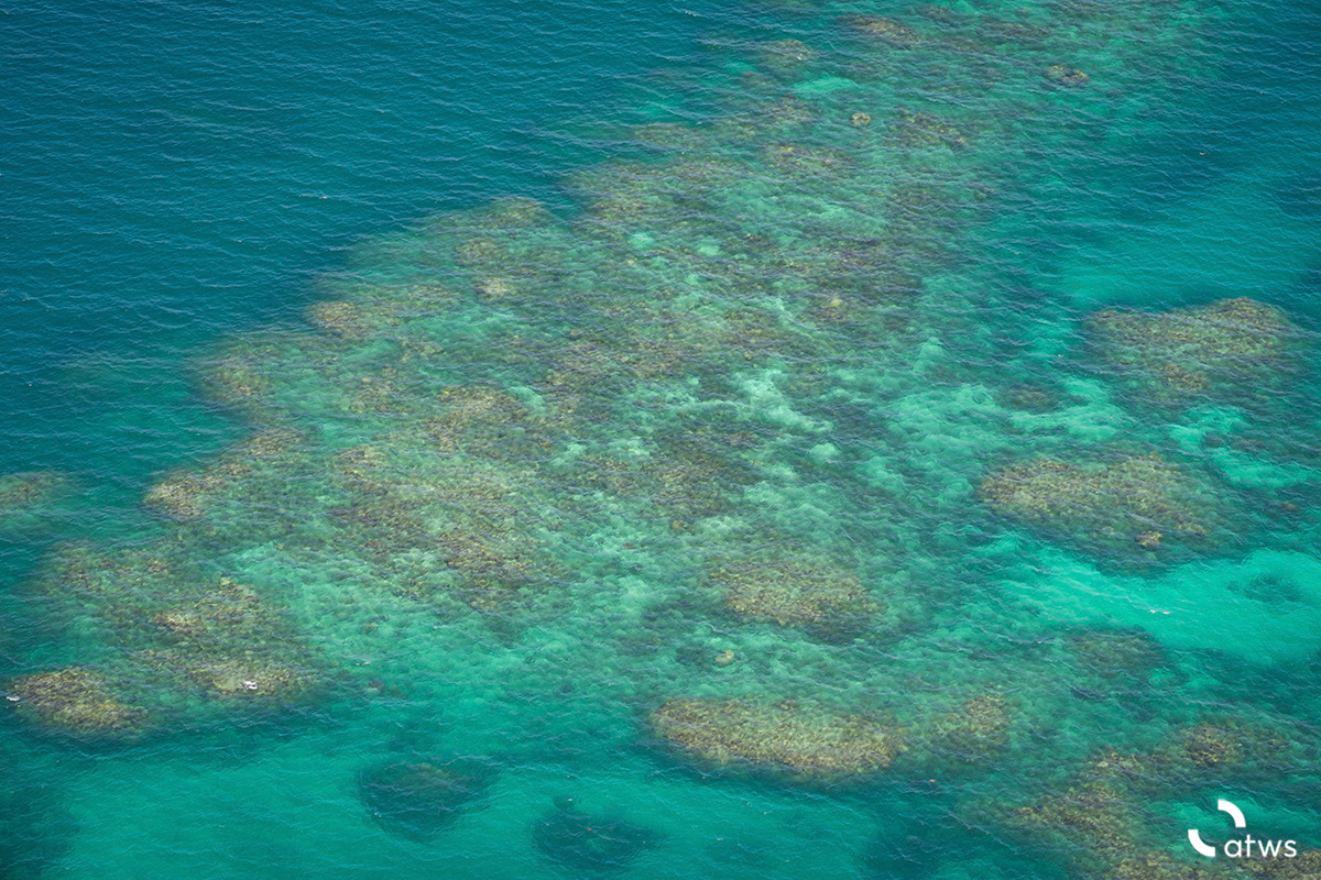 Tonos de Great Barrier Reef, Australia 4