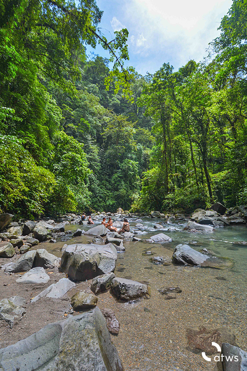 Welcome to the Jungle