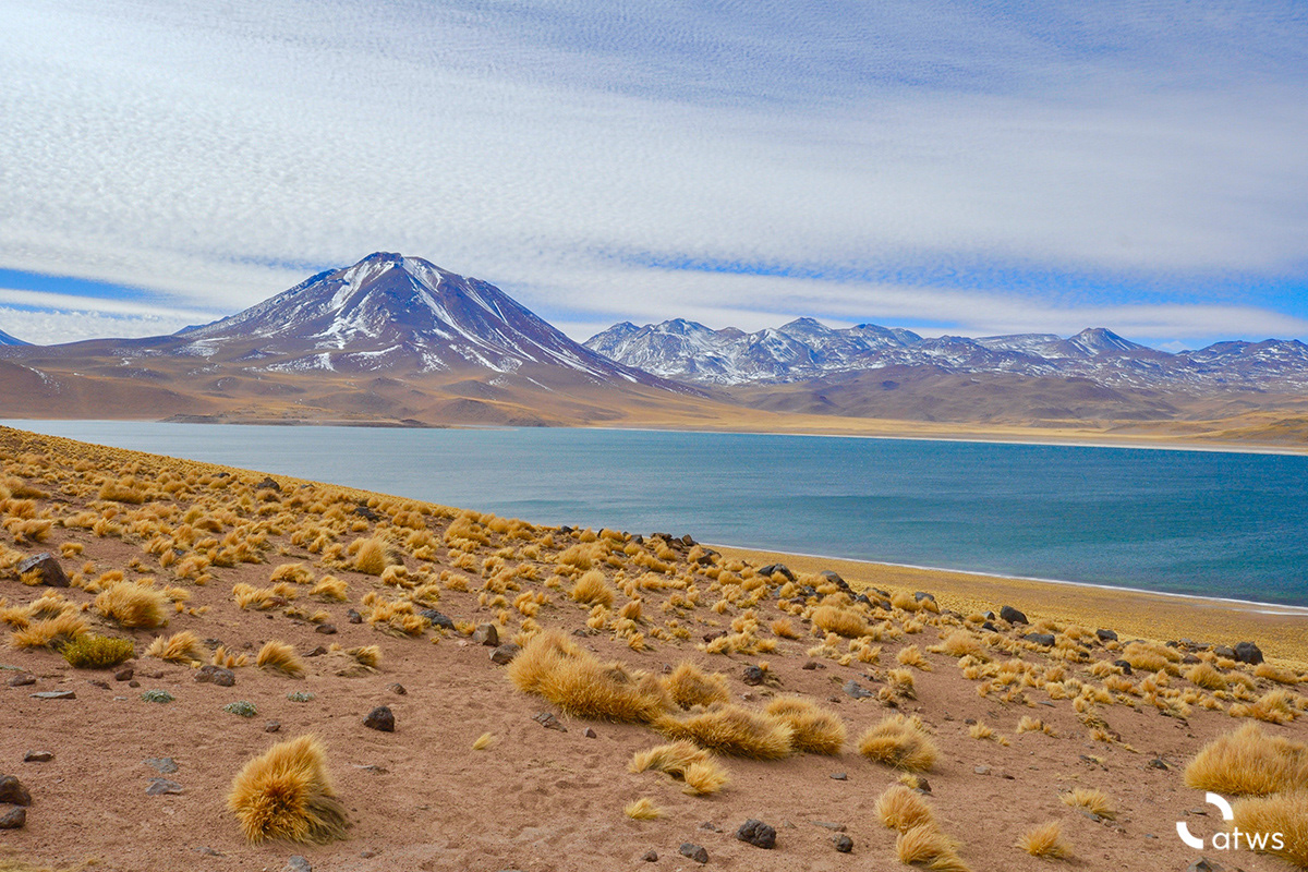 Lagunas Altiplánicas, Desierto de Atacama