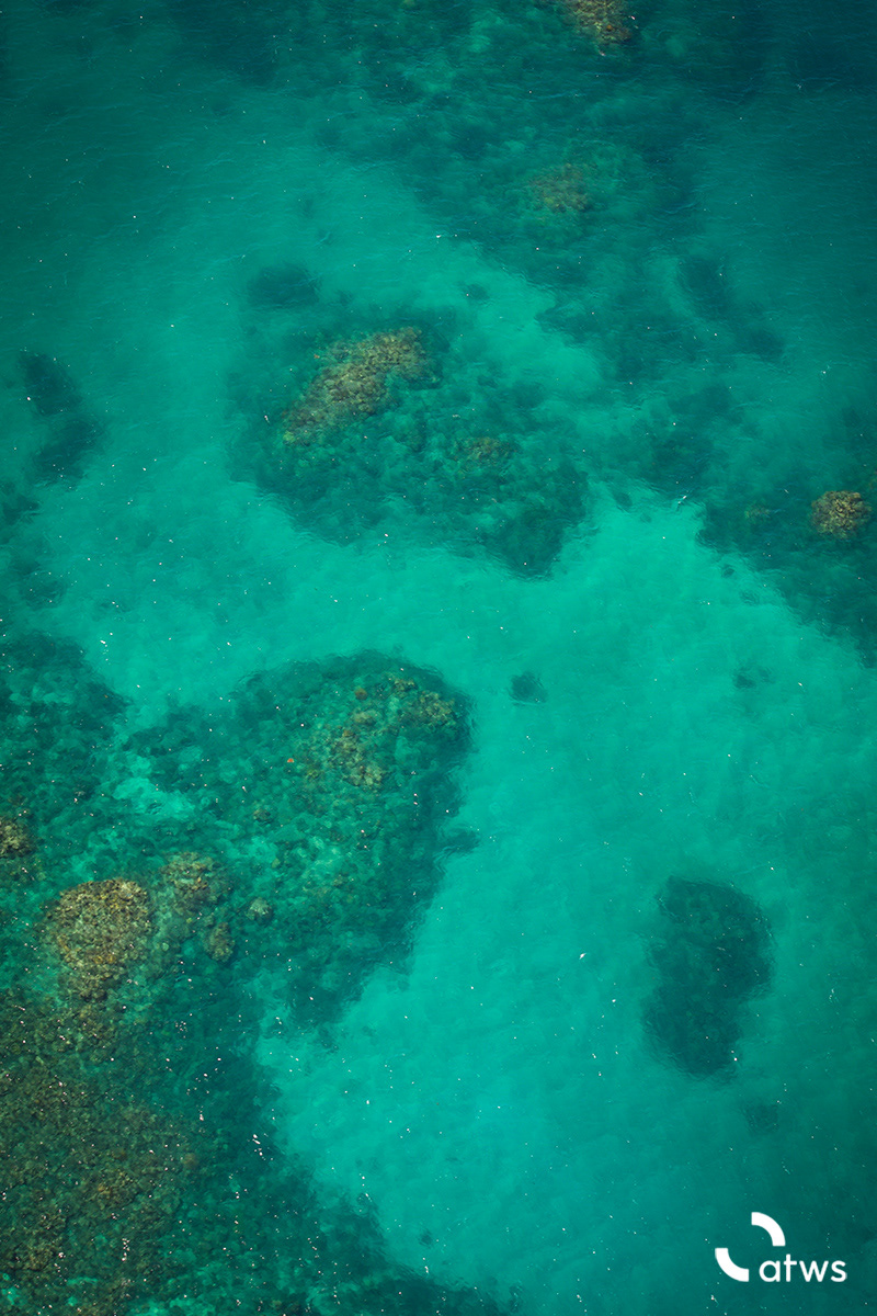 Tonos de Great Barrier Reef, Australia 5