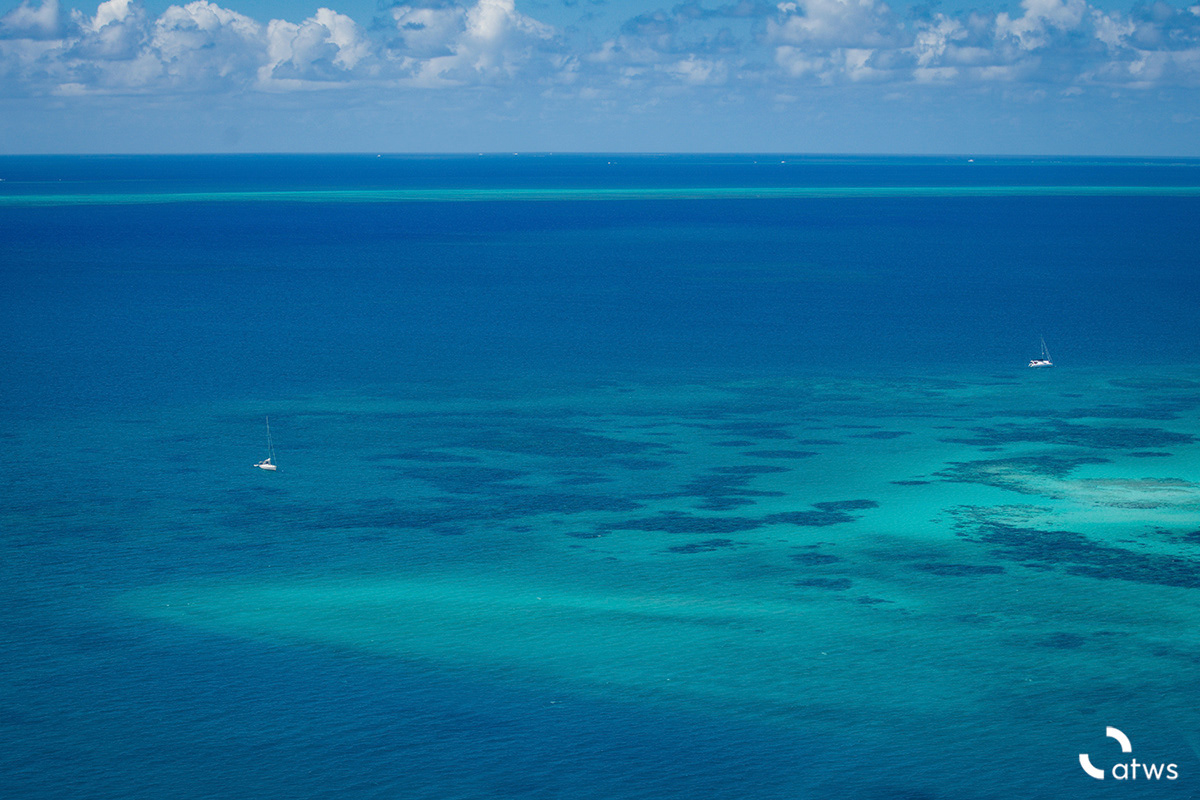 Tonos de Great Barrier Reef, Australia 3