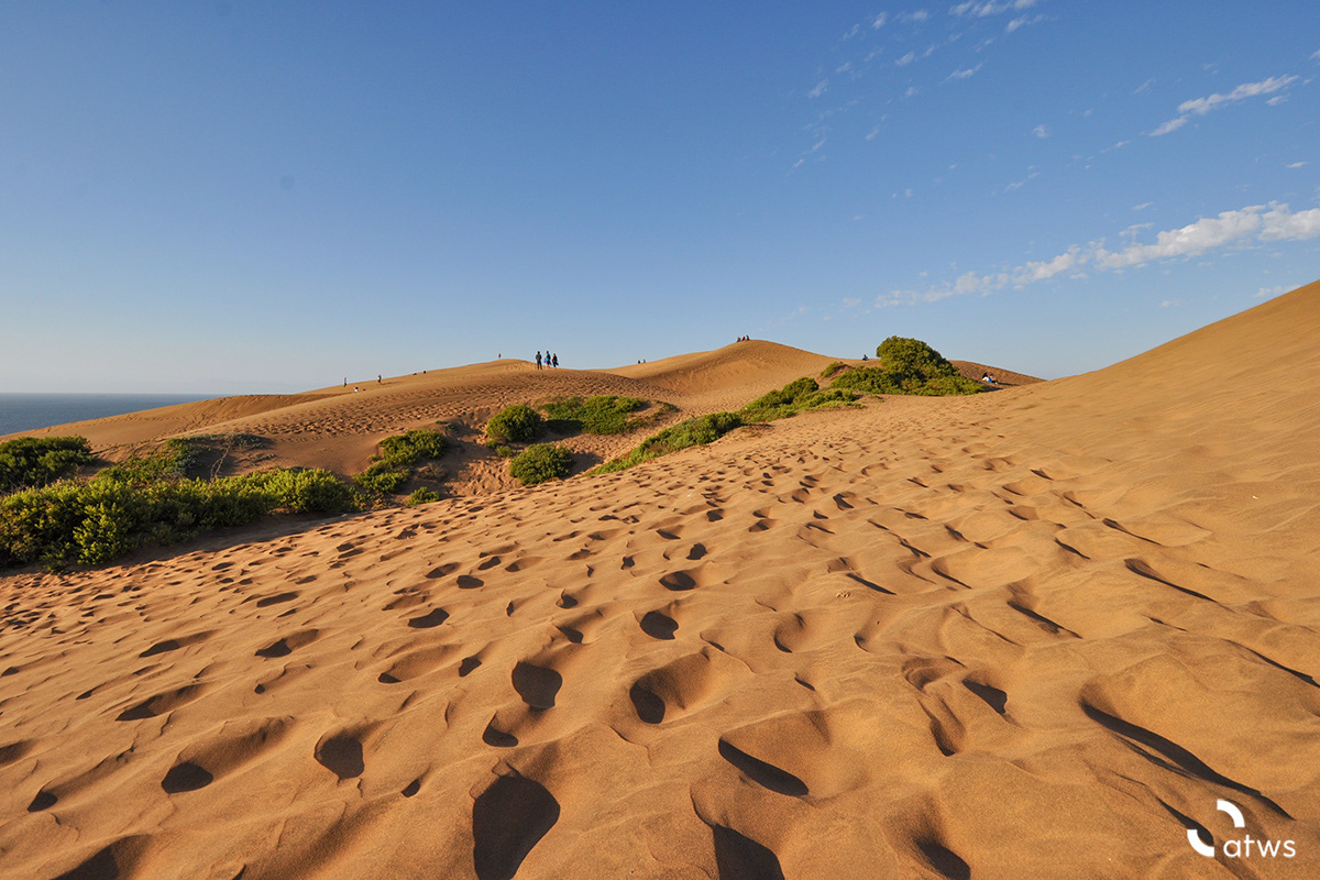 Dunas de Concón, Chile