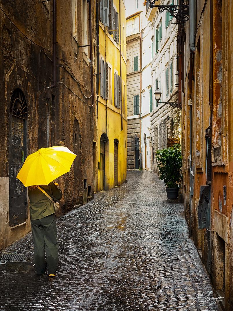 Little Miss Sunshine