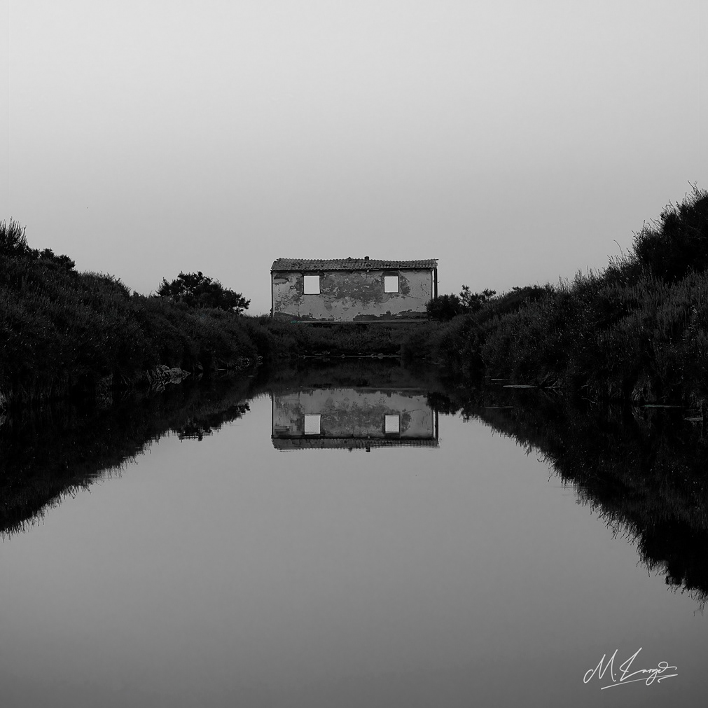 Mirror World II